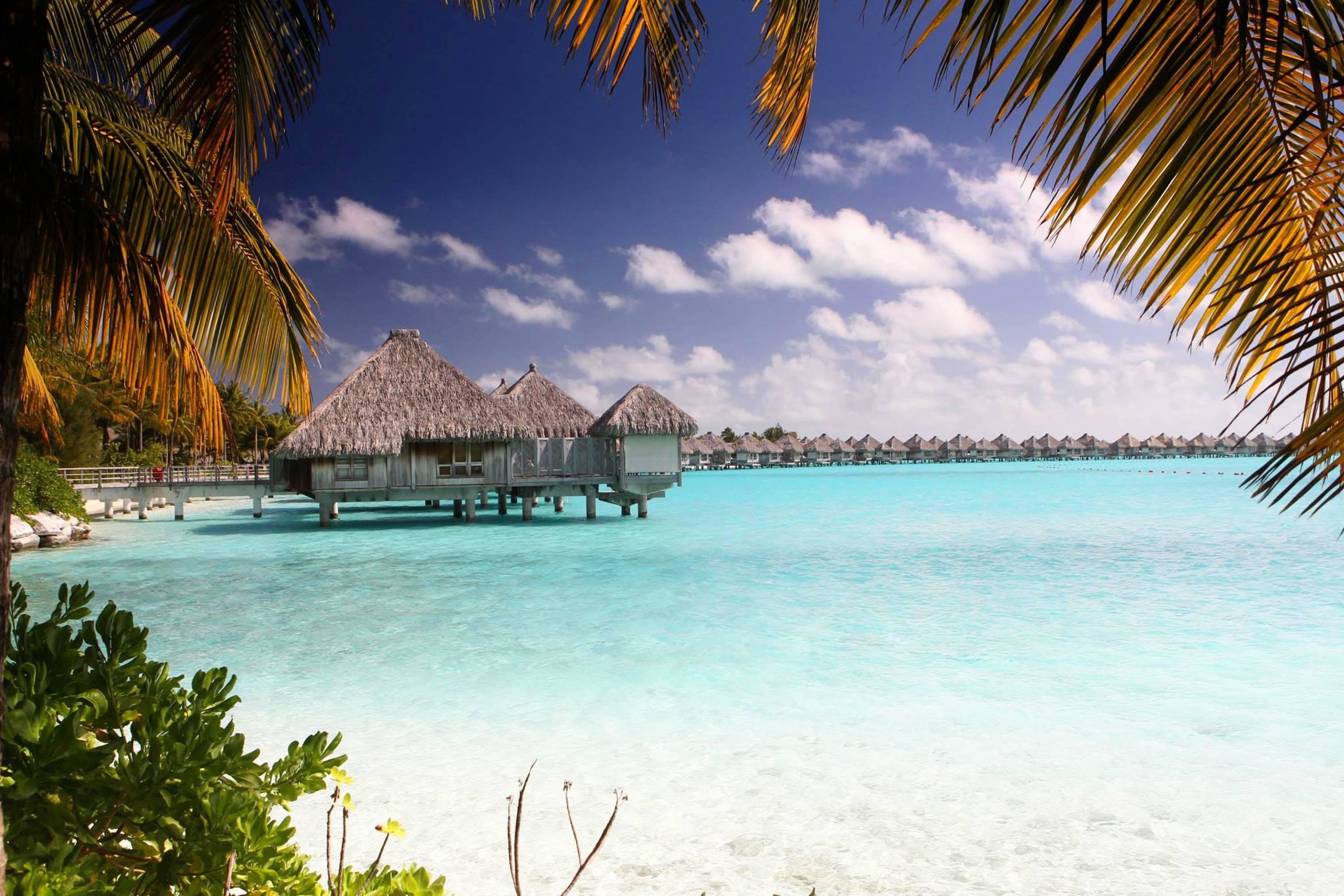 Bora Bora, Bungalow sull'acqua, Palme, Laguna, 2K, sfondo per PC