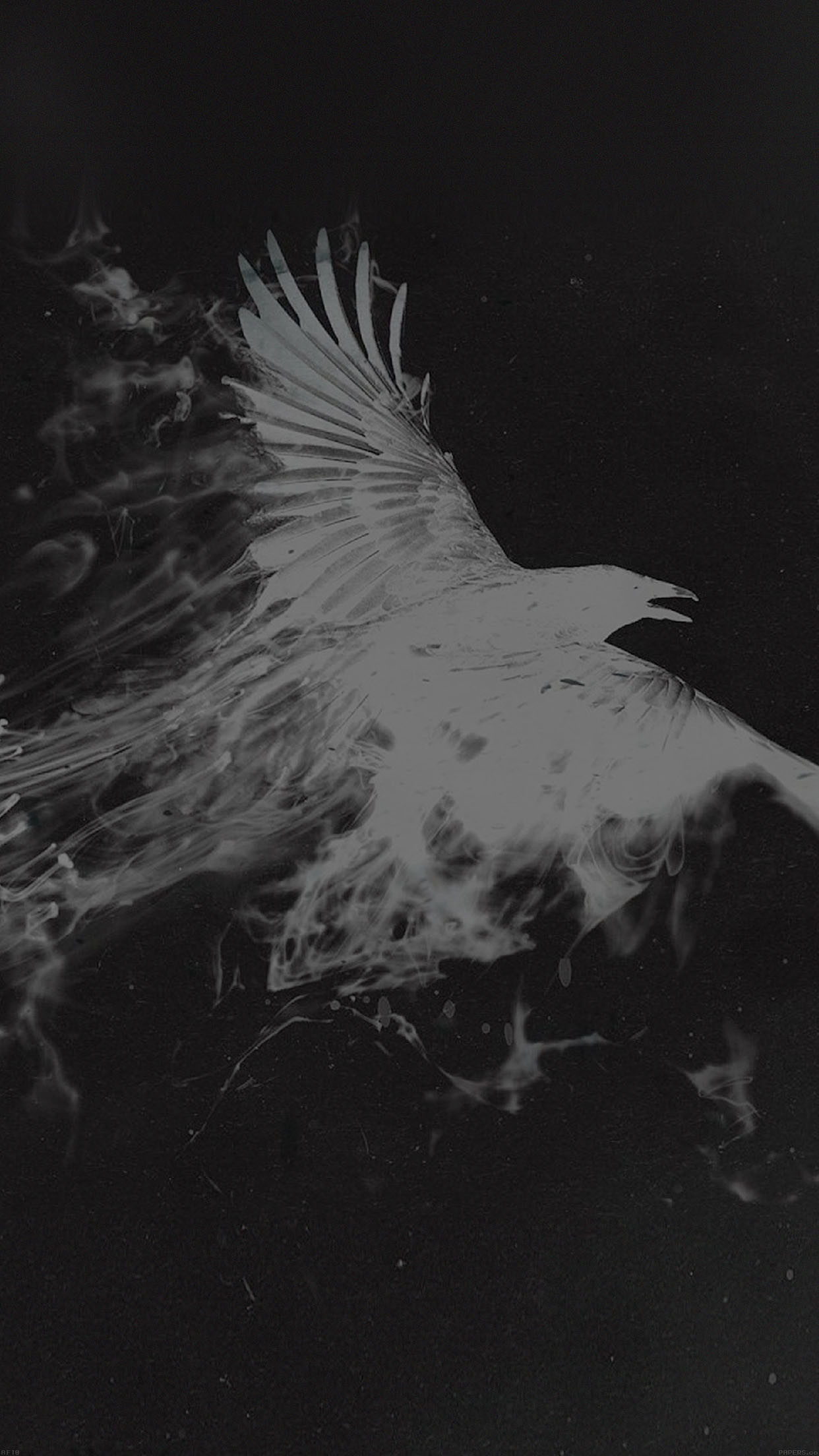 Aquila, Bianco e nero, Sfondo nero, 1242x2208, schermata di blocco iPhone