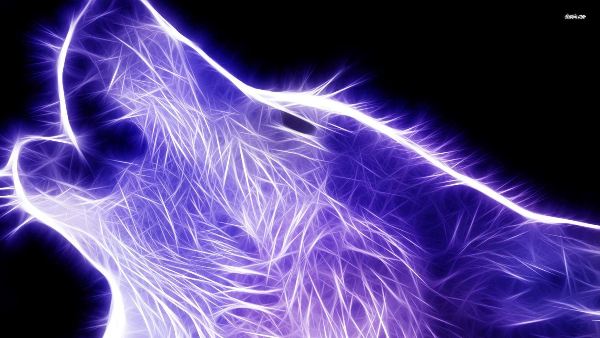 Lupo, Arte frattale, Ululato, Viola, Sfondo nero, Full HD, wallpaper desktop