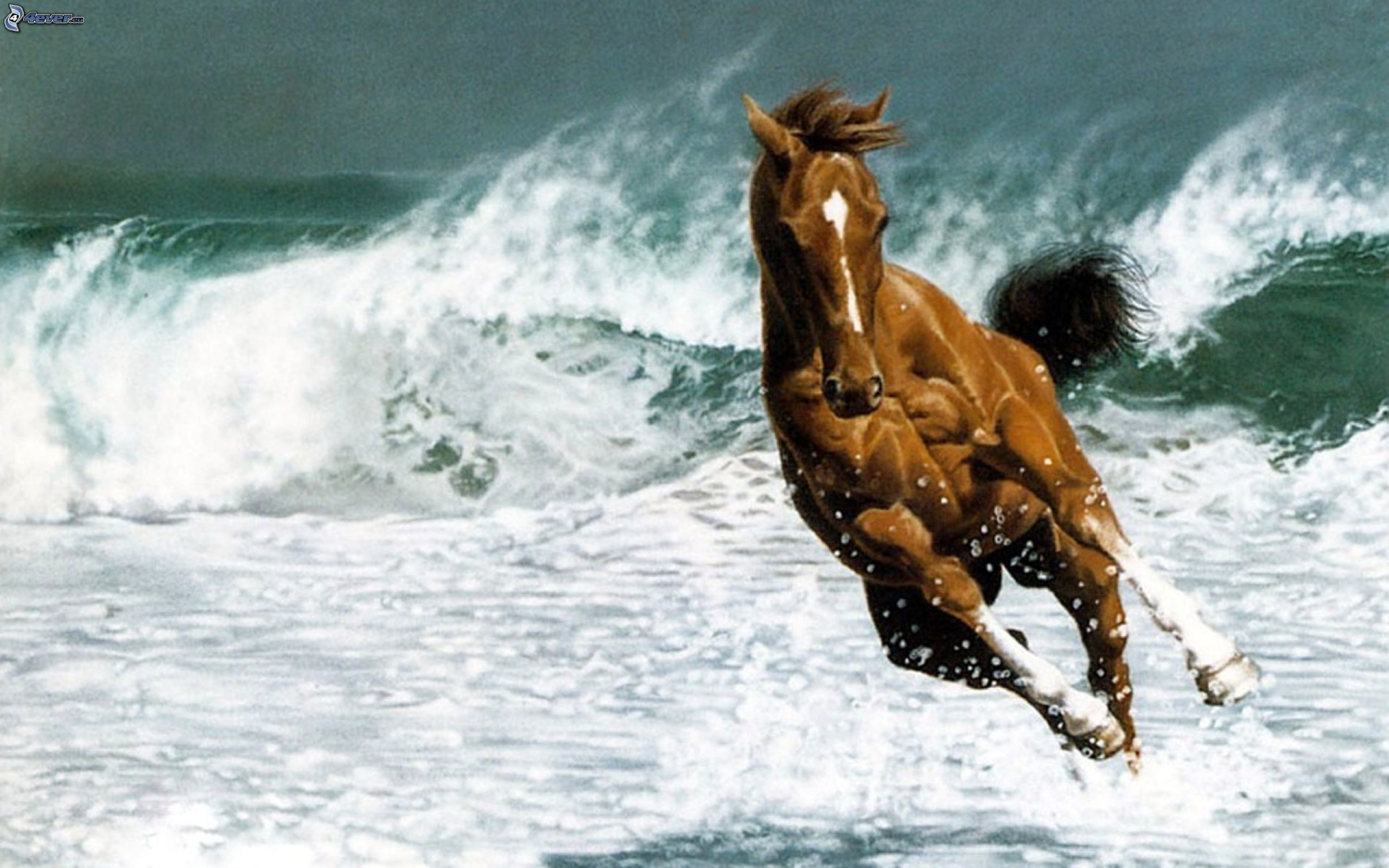 Cavallo sauro, Galoppo, Onde, Mare, 2560x1600, immagine di sfondo