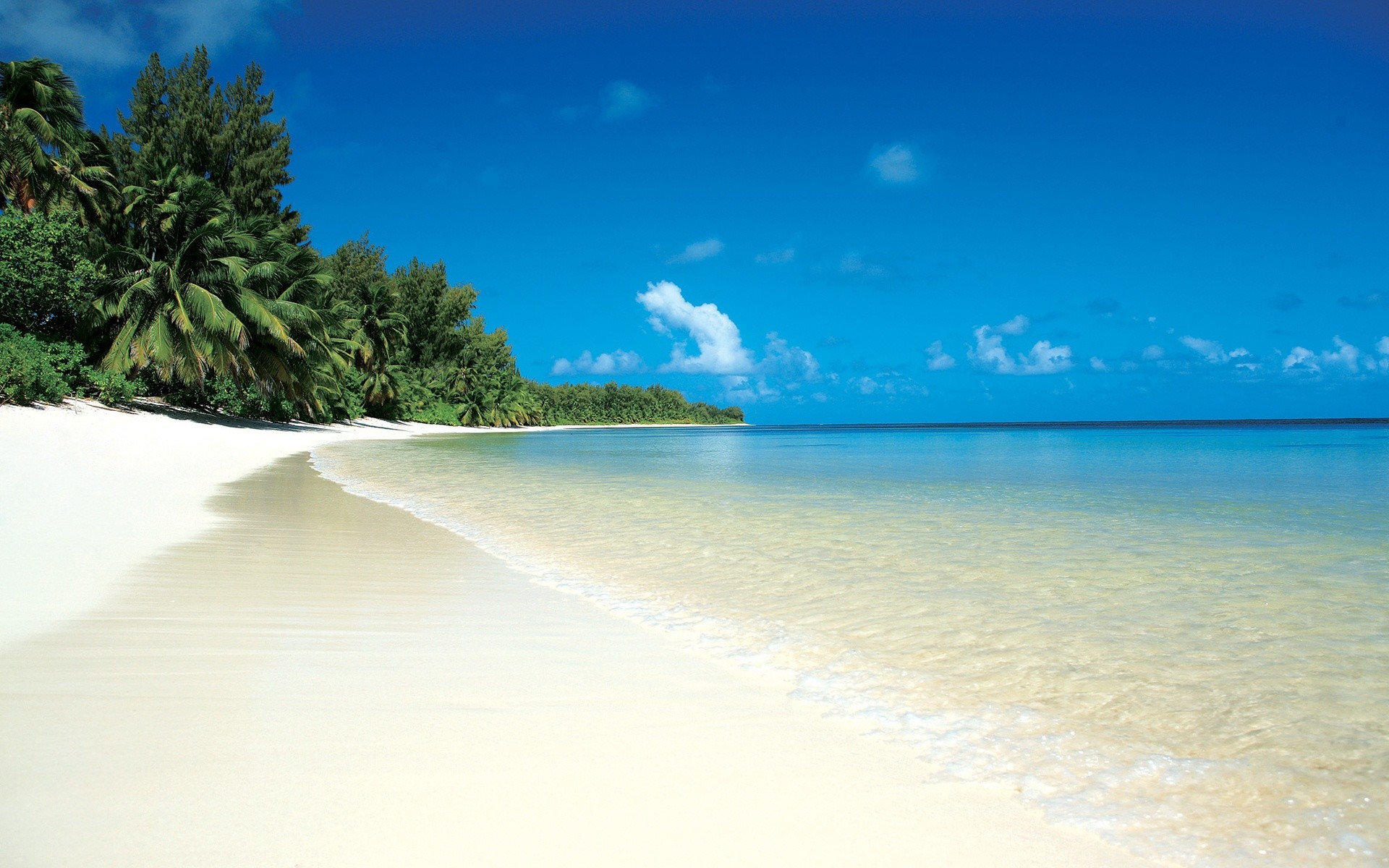 Spiaggia bianca, Palme, Mare, Tropici, Full HD, wallpaper per portatile