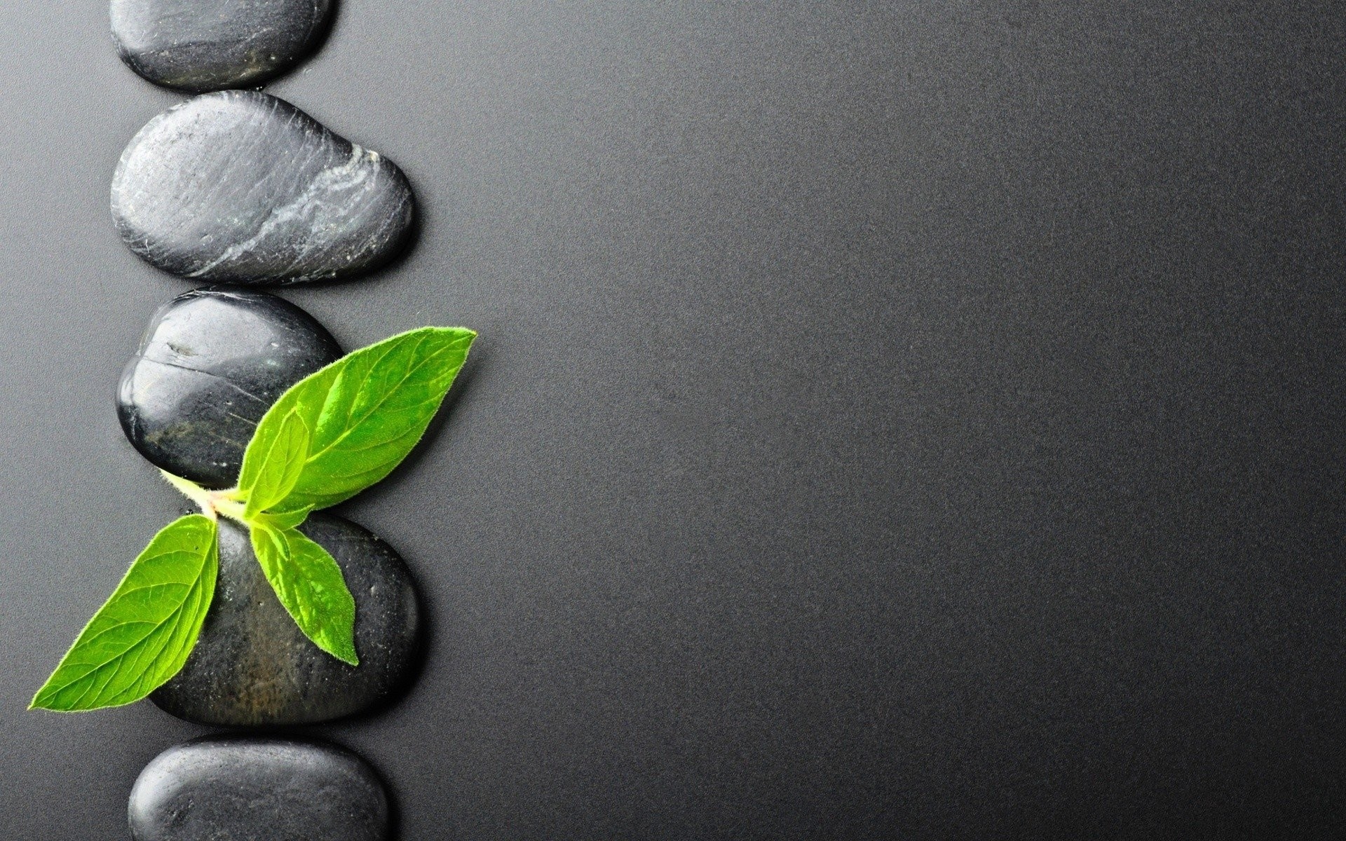 Pietre nere, Foglie di menta, Minimalismo, Grigio, Full HD, sfondo desktop