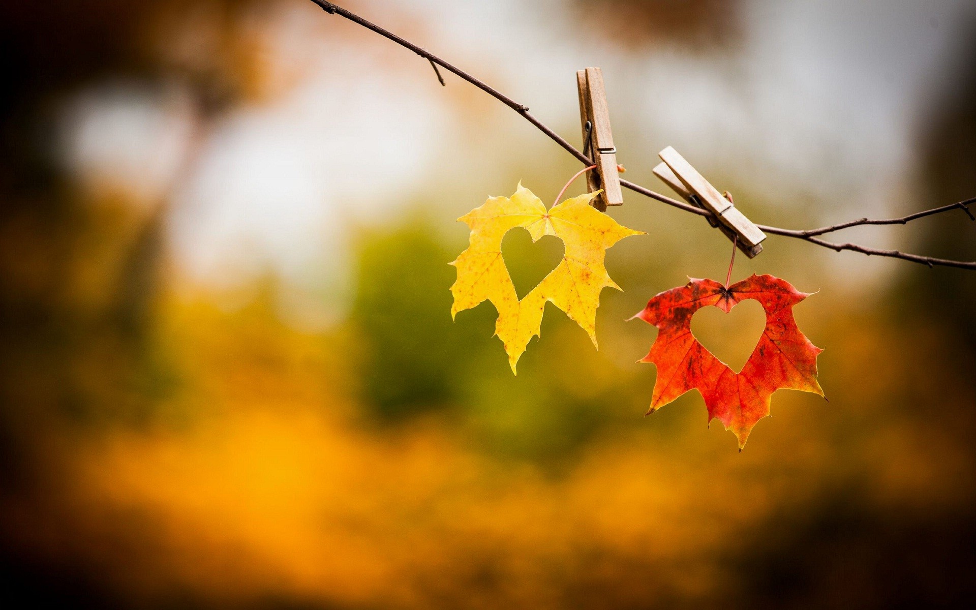 Foglie autunnali, Cuore, Mollette, Bokeh, 16:10 Full HD, sfondo widescreen