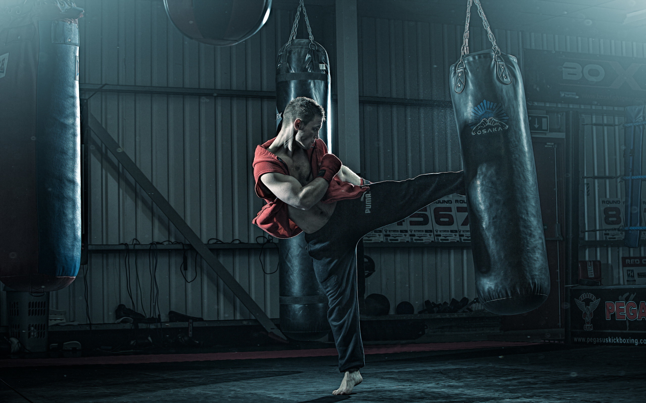 Sacco da boxe, Calcio, Arti marziali, Palestra, 2560x1600, sfondo per PC