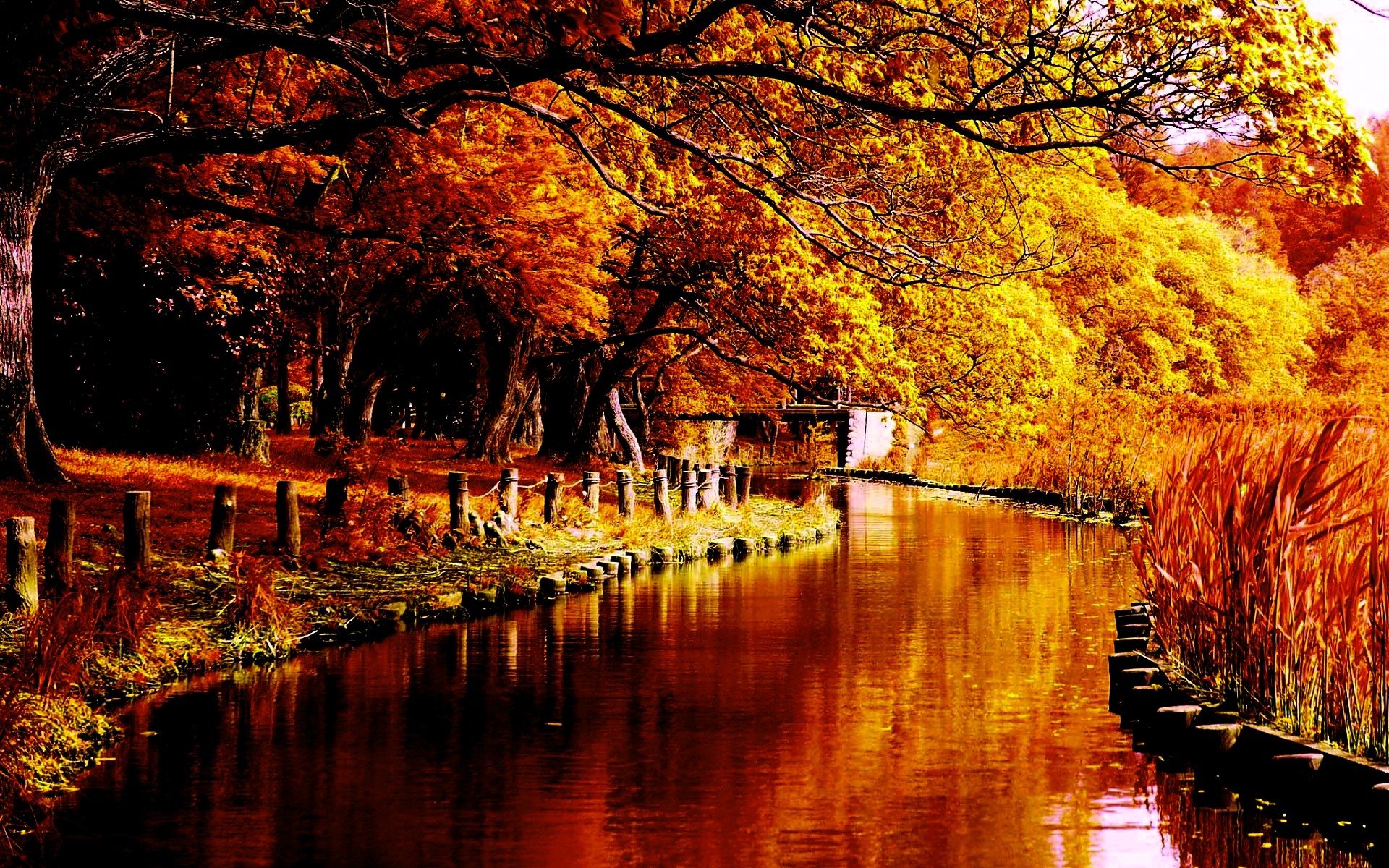 Canale, Alberi, Staccionata, Riflesso, 16:10 Full HD, sfondo widescreen