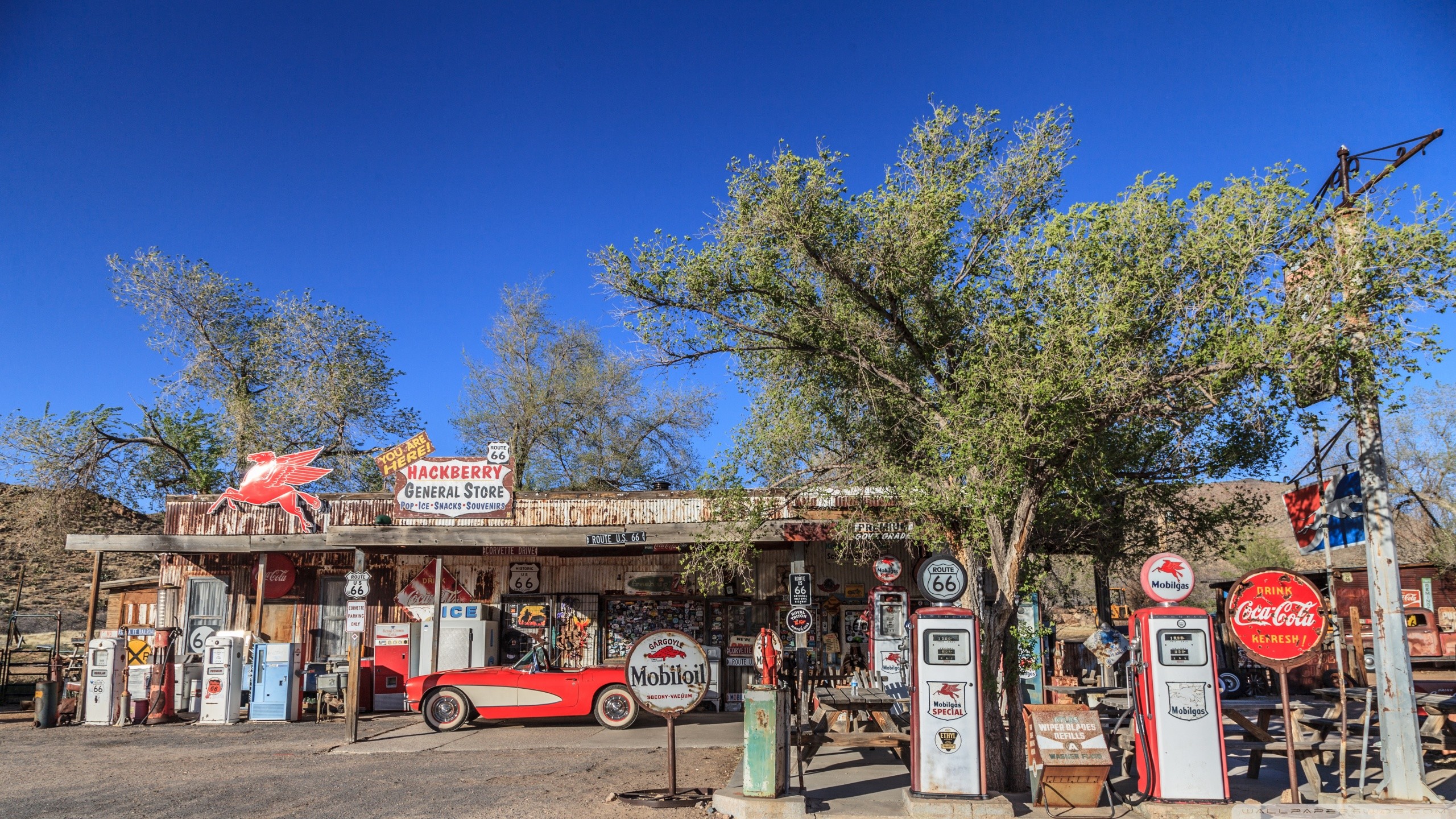 Hackberry General Store, Route 66, Arizona, Pompe di benzina, Chevrolet Corvette, sfondo 2K