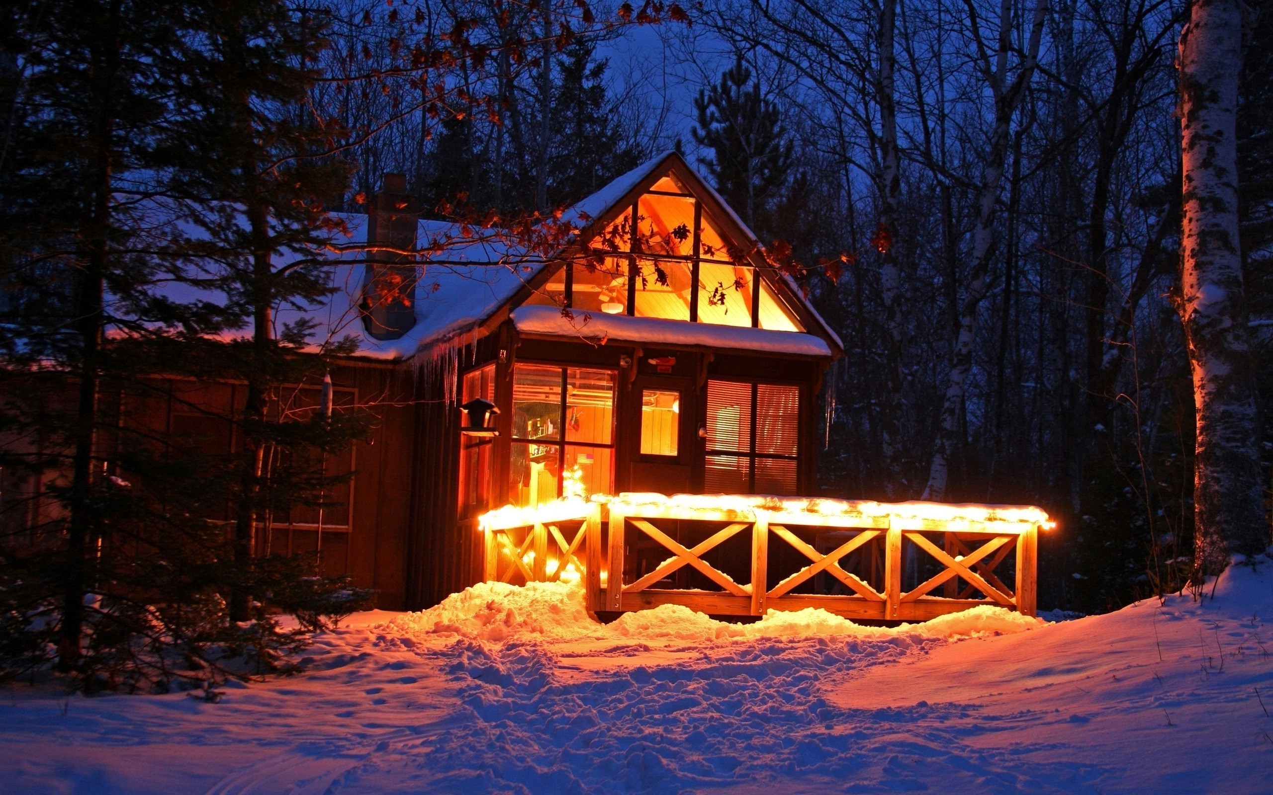 Baita, Luci, Neve, Foresta, Notte d'inverno, 2K, sfondo per portatile