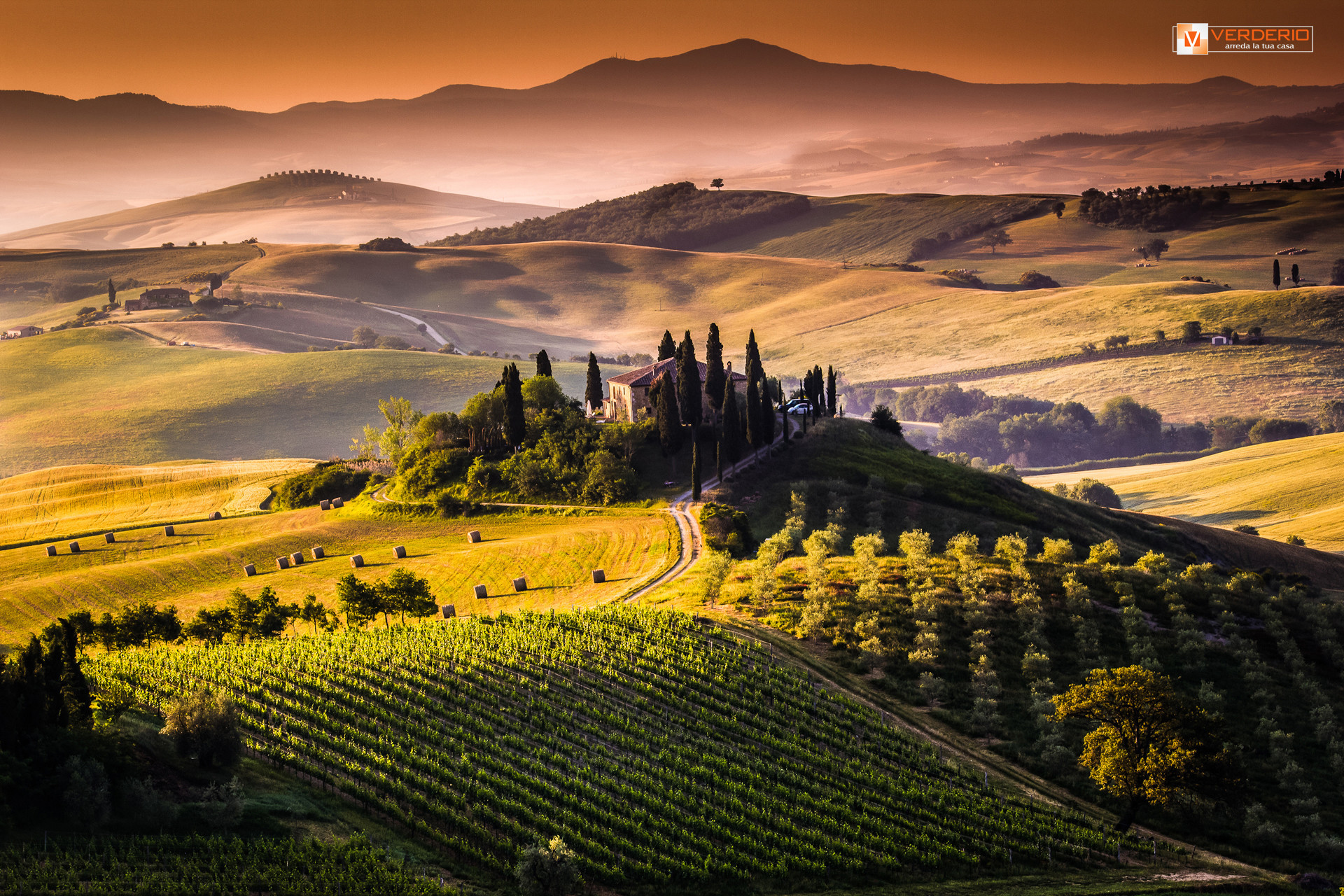 Val d'Orcia, Toscana, Colline, Vigneti, Italia, Full HD, sfondo per portatile