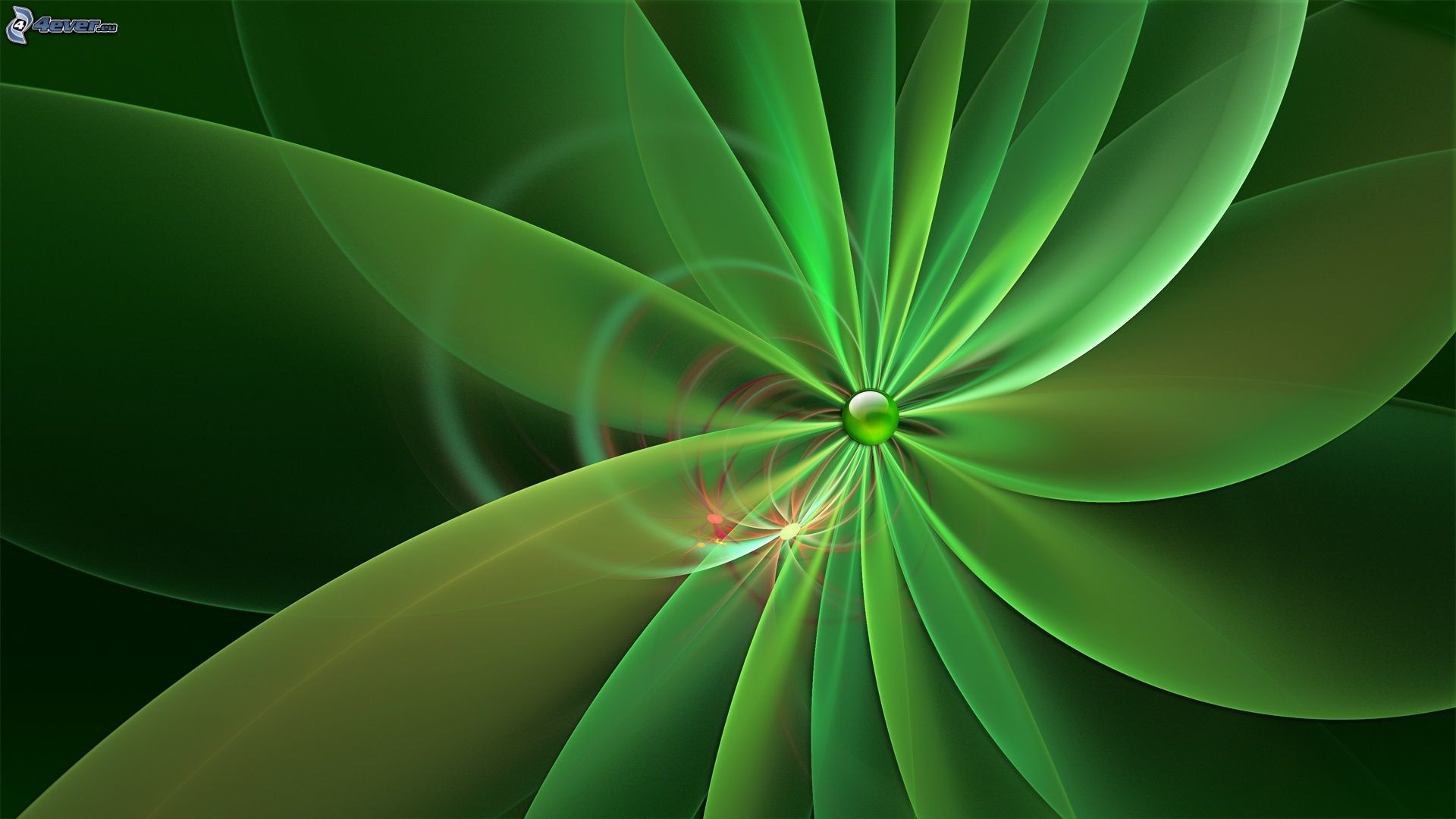 Frattale, Fiore, Verde, Arte digitale, 1920x1080, sfondo per PC