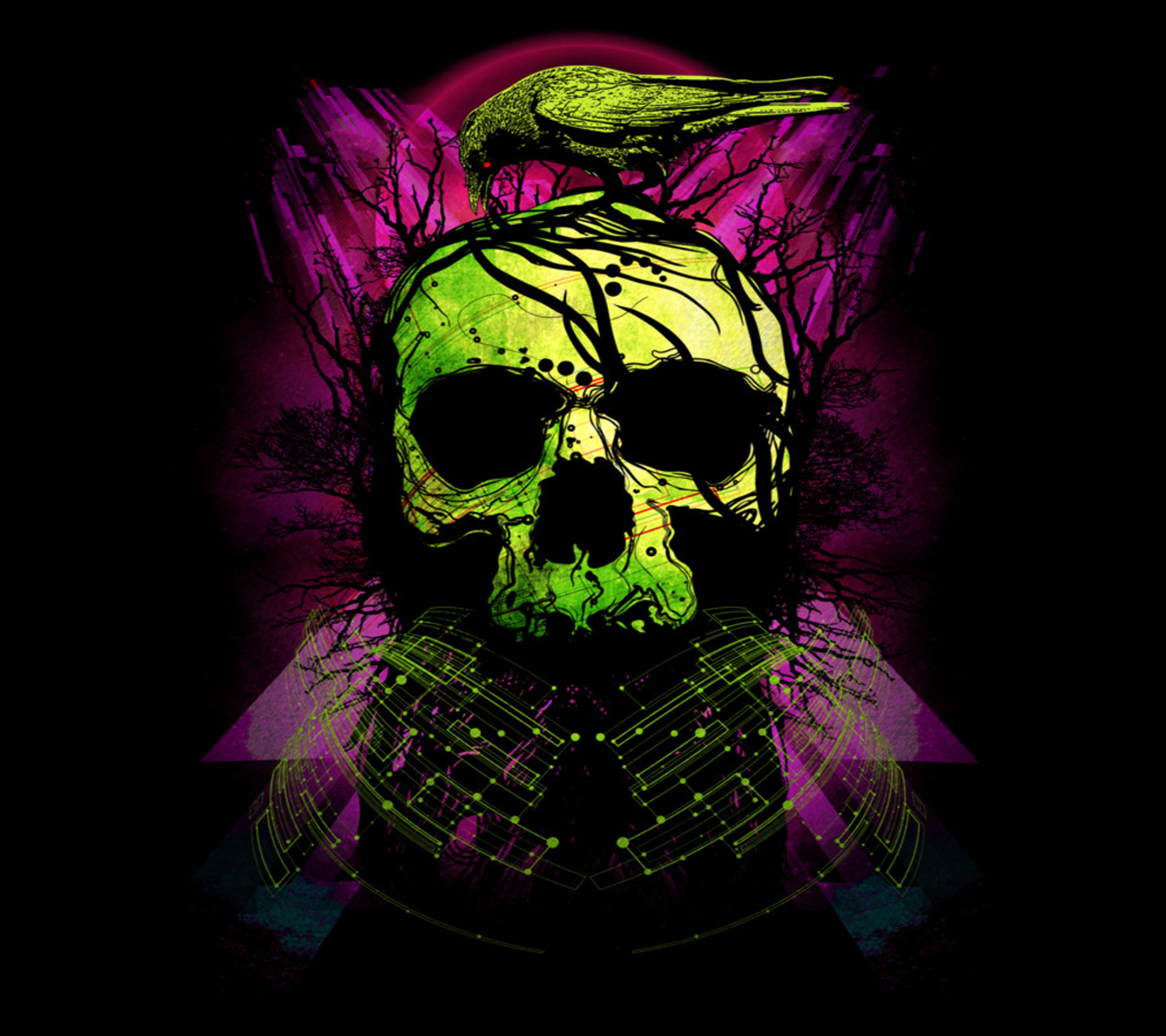 Teschio, Corvo, Verde lime, Sfondo nero, Illustrazione, Full HD, schermata di blocco iPad