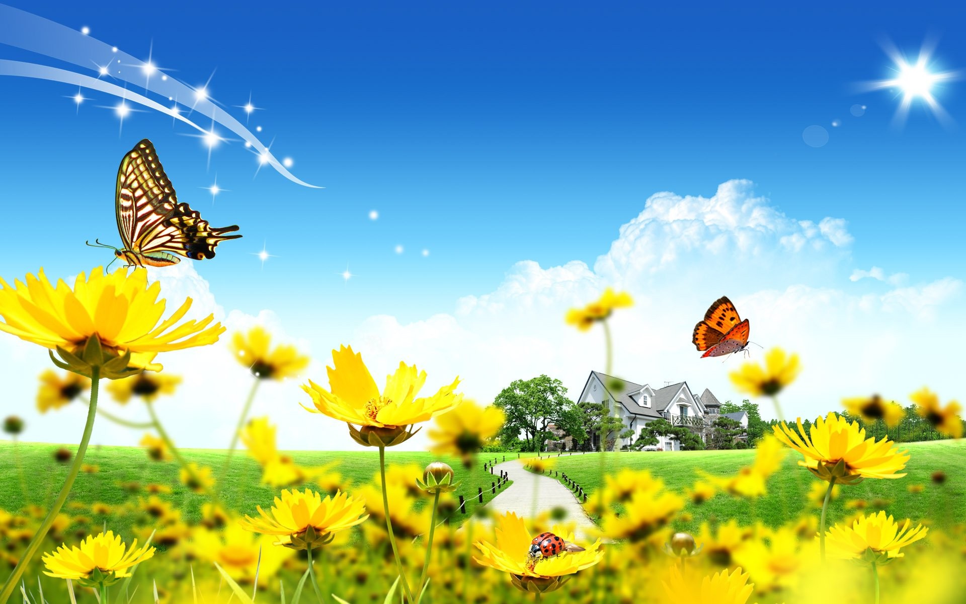 Margherite gialle, Farfalle, Prato, Cielo azzurro, Illustrazione, sfondo per il tuo desktop