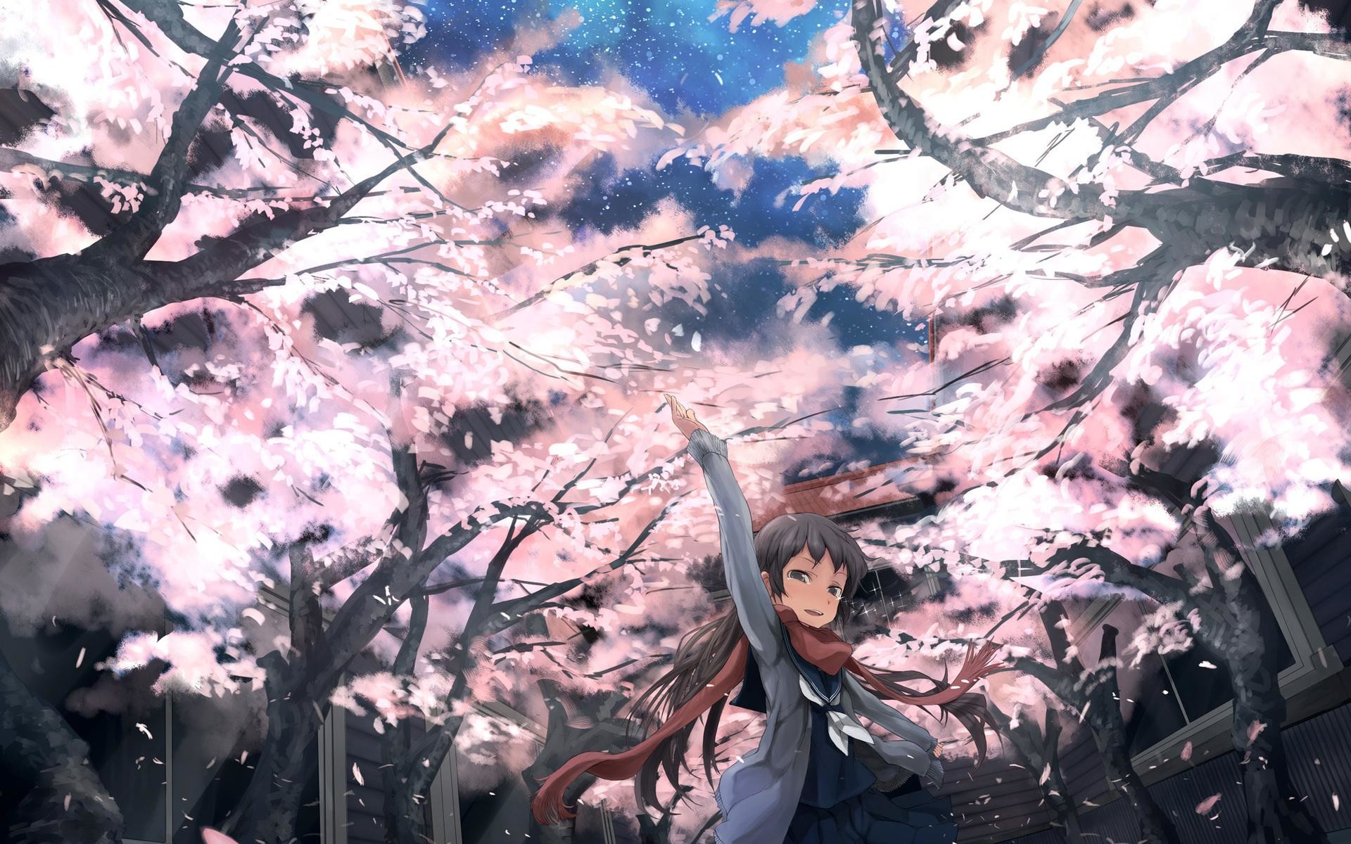 Ragazza anime, Ciliegi in fiore, Sakura, Petali, Anime, 16:10 Full HD, sfondo widescreen