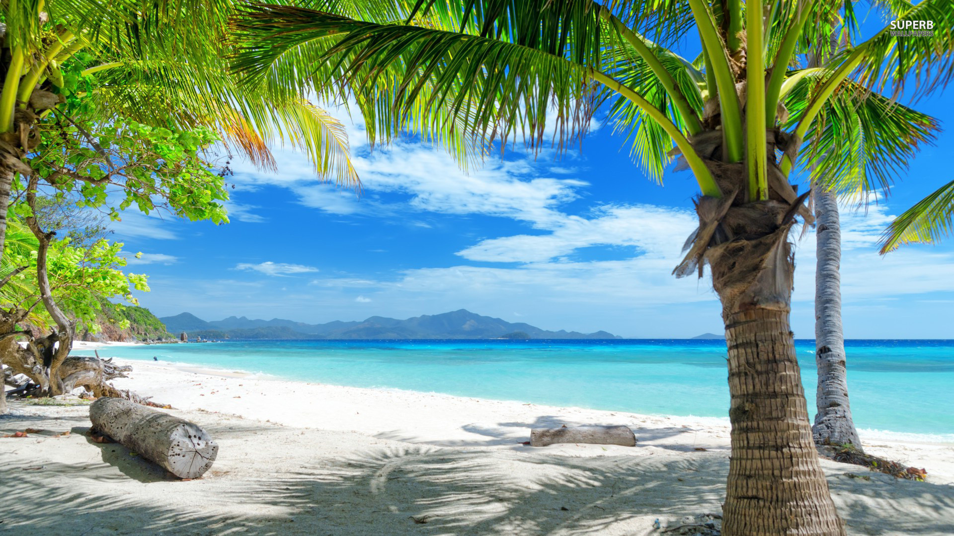 Spiaggia tropicale, Palme, Tronco, Mare turchese, Full HD, wallpaper per PC