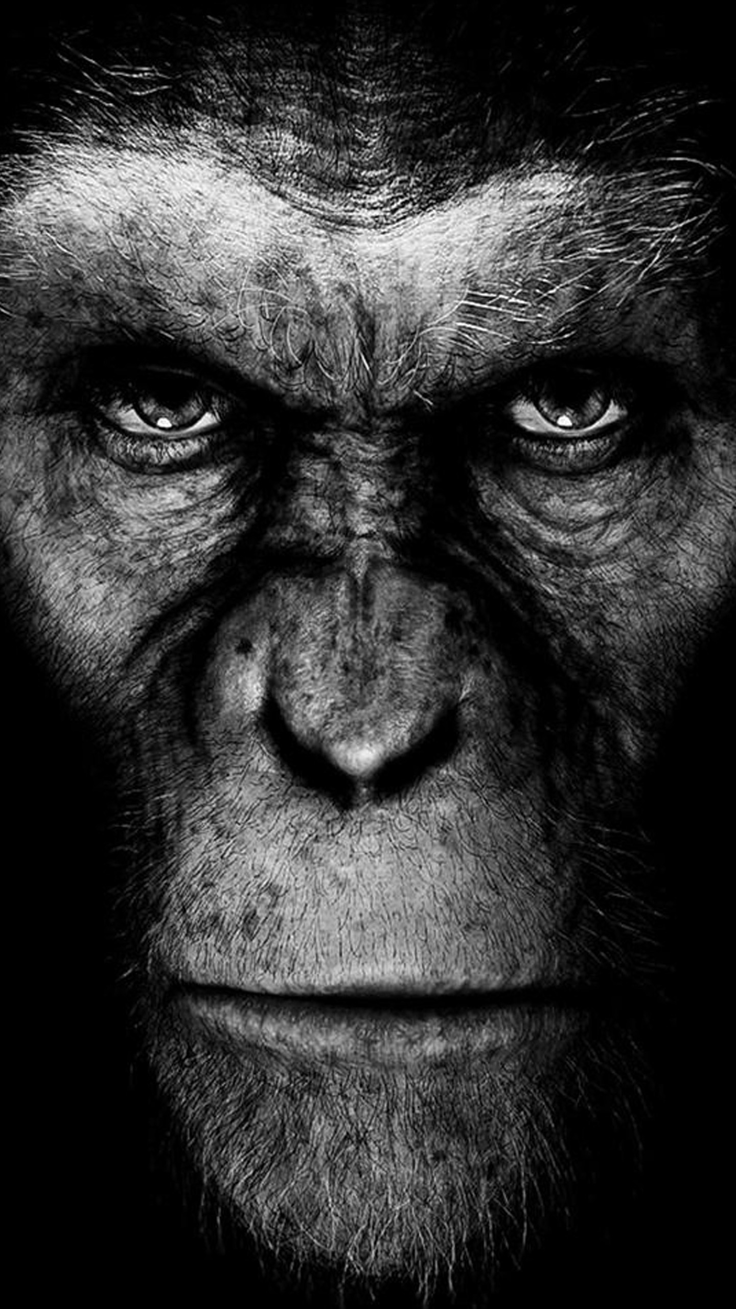 Caesar, Il pianeta delle scimmie, Scimpanzé, Bianco e nero, QHD+, sfondo per iPhone e Android