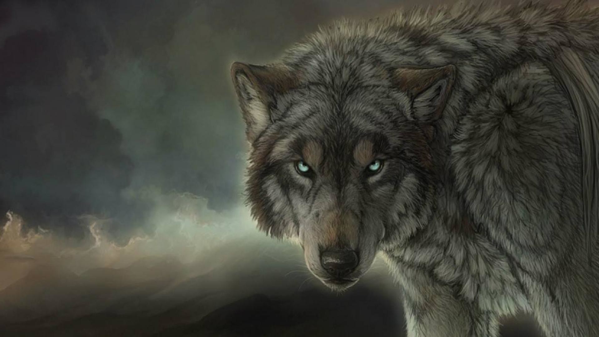 Lupo, Sguardo, Pittura digitale, Nuvole, Full HD, wallpaper per computer