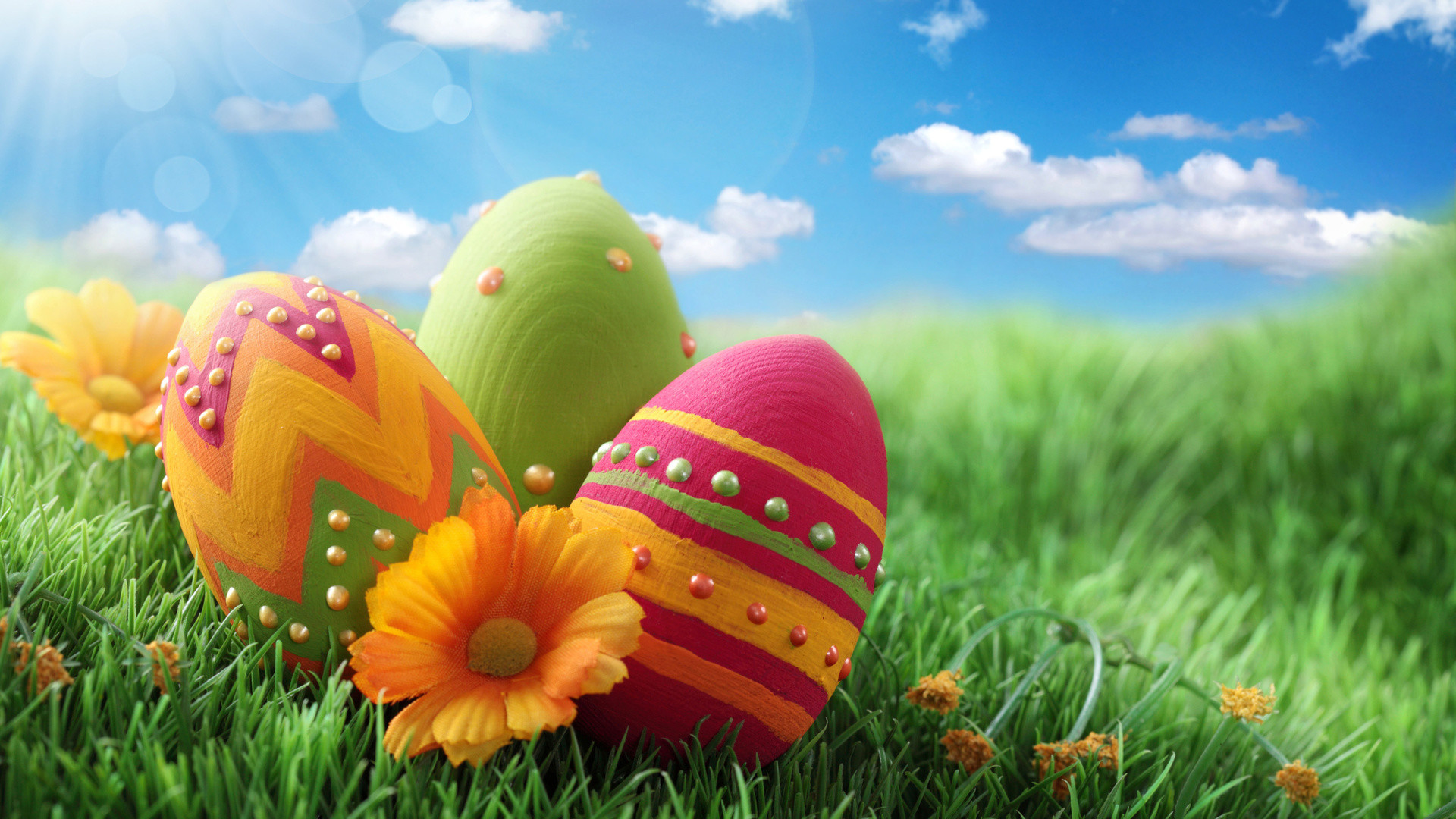 Uova di Pasqua, Uova decorate, Erba, Fiori arancioni, Cielo azzurro, sfondo widescreen Full HD