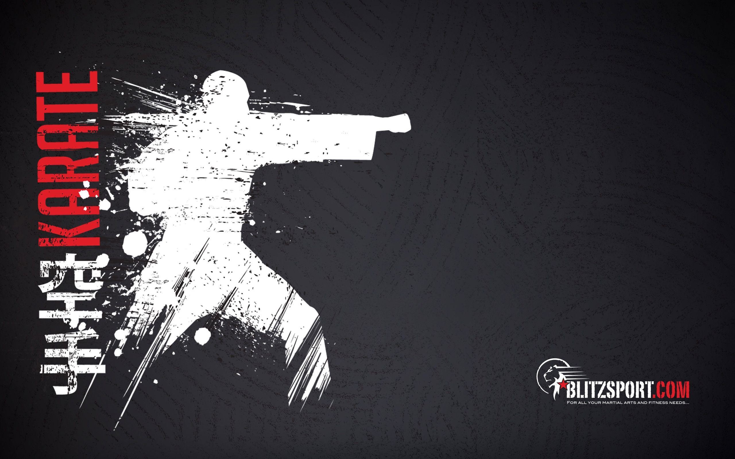Karate, Silhouette, Sfondo nero, 16:10 2K, wallpaper widescreen