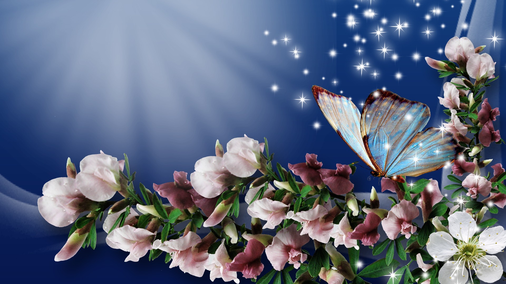 Fiori di ciliegio, Farfalla, Stelle, Arte digitale, 16:9 Full HD, wallpaper widescreen