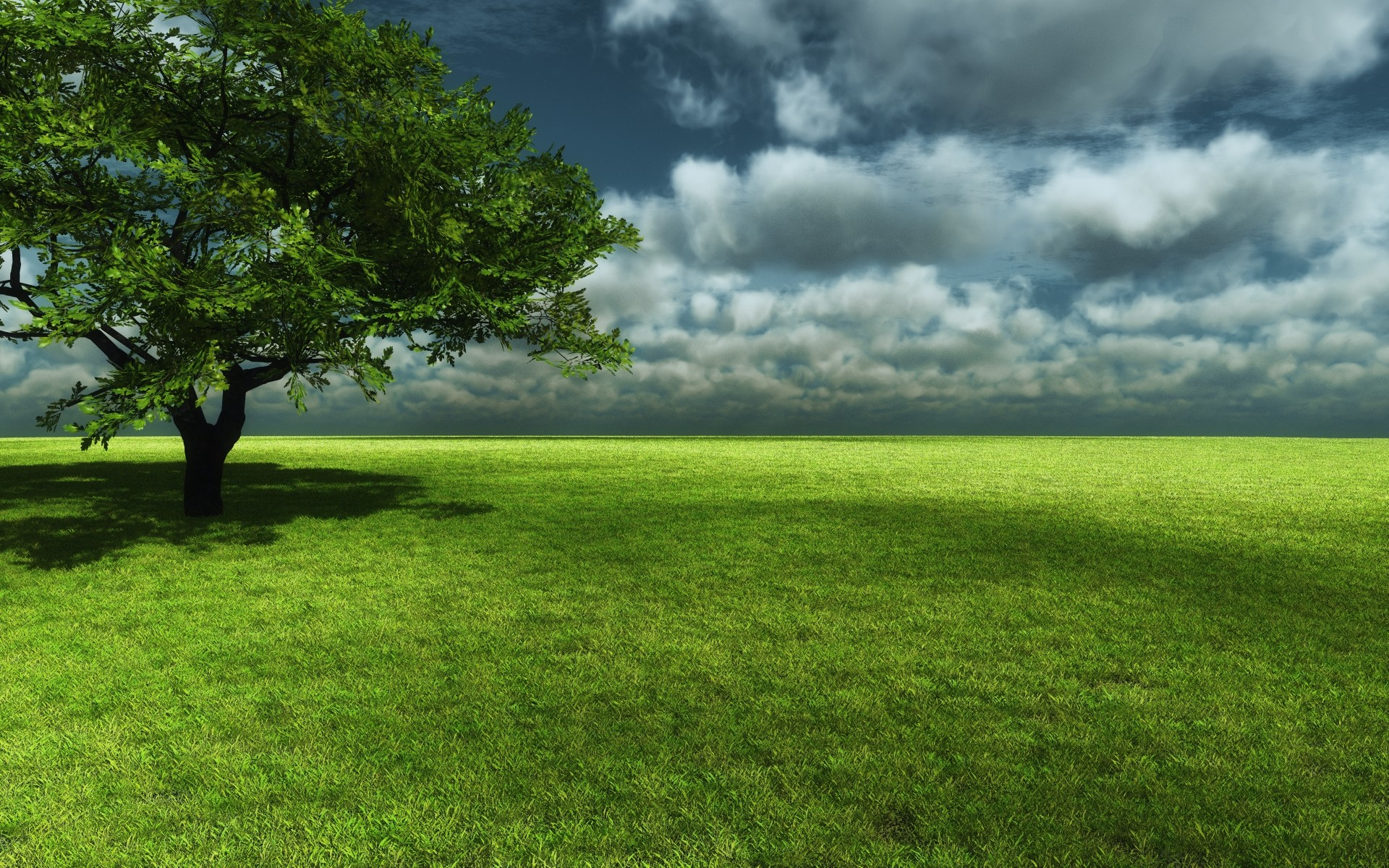 Albero, Prato verde, Nuvole, 1920x1200, immagine di sfondo