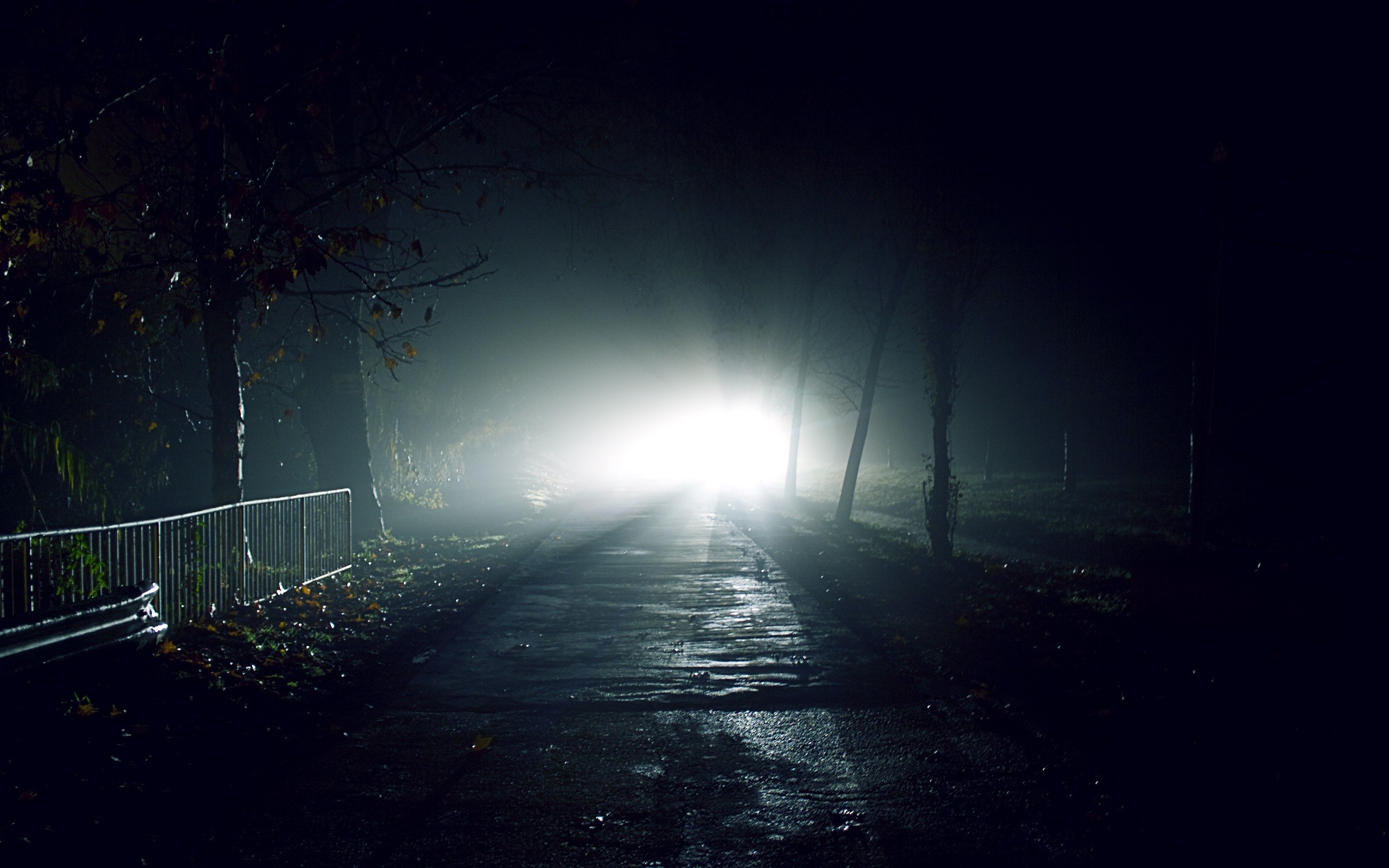 Nebbia, Sentiero, Lampione, Notte, 16:10 2K, sfondo widescreen