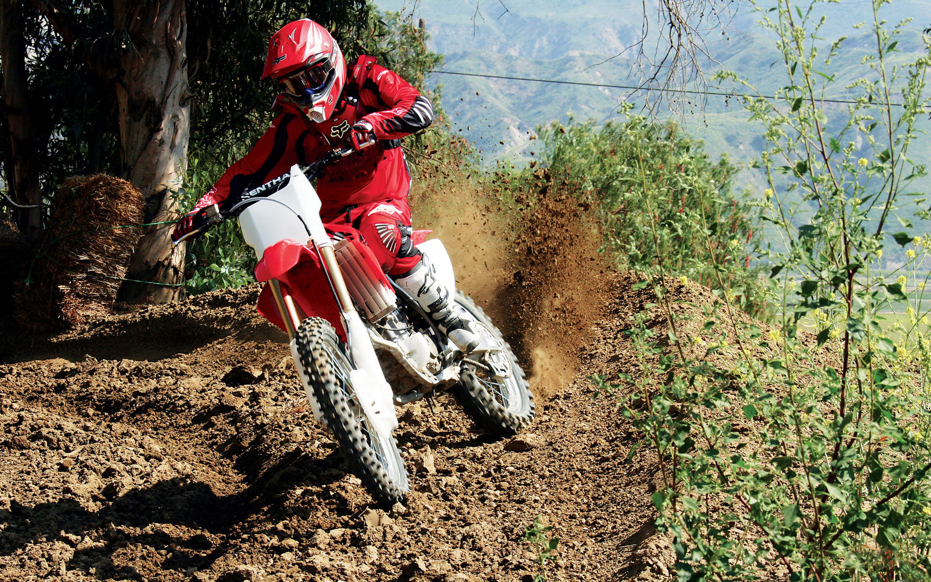 Honda CRF, Enduro, Sentiero, Bosco, 1920x1200, wallpaper desktop
