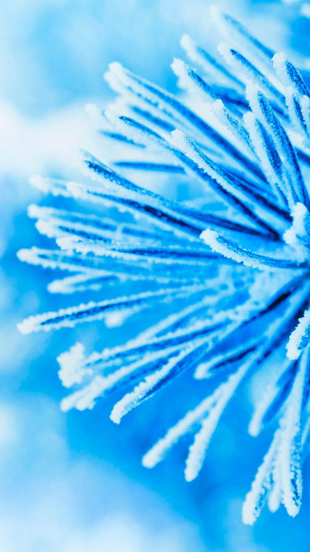 Brina, Cristalli di ghiaccio, Azzurro, Full HD, sfondo per iPhone e Android