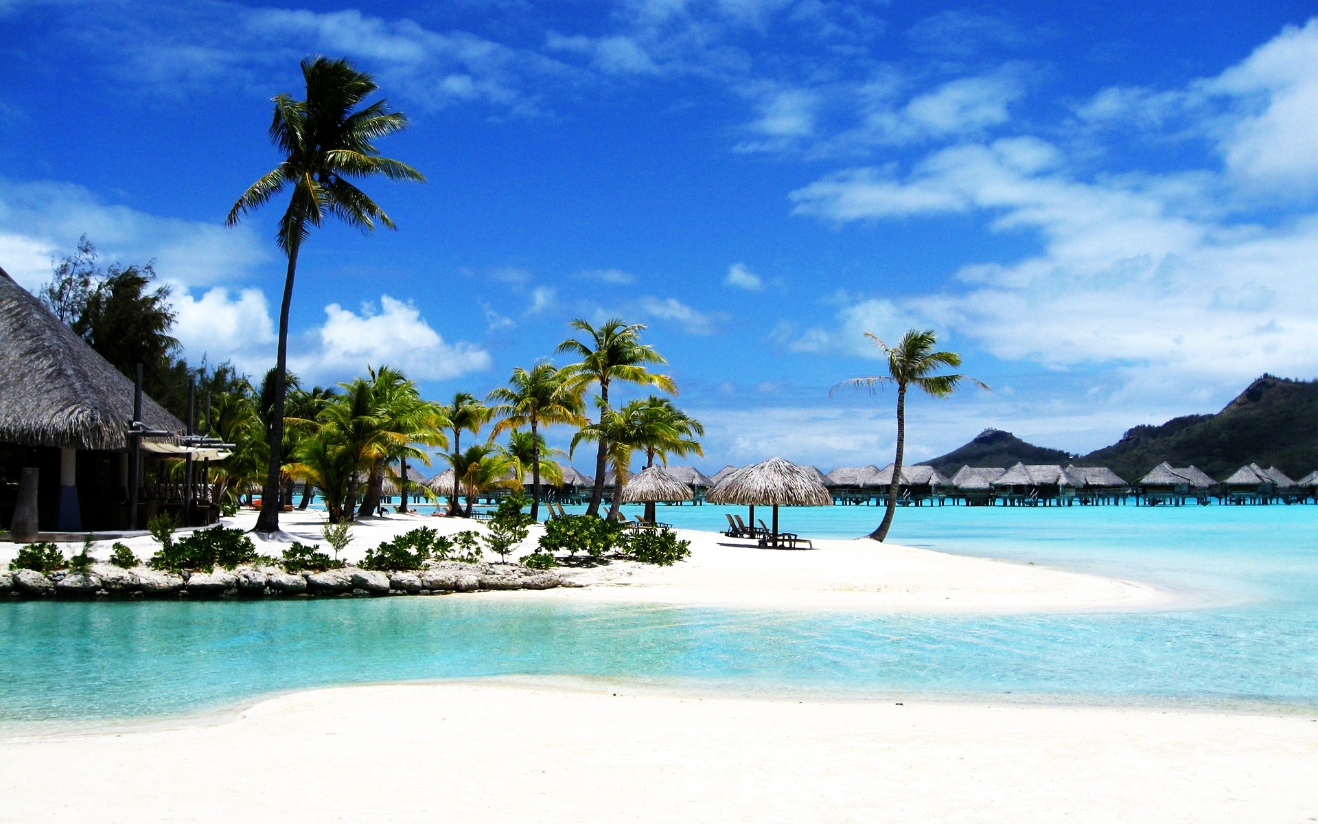 Resort, Palme, Spiaggia tropicale, Mare, Full HD, sfondo per il tuo desktop