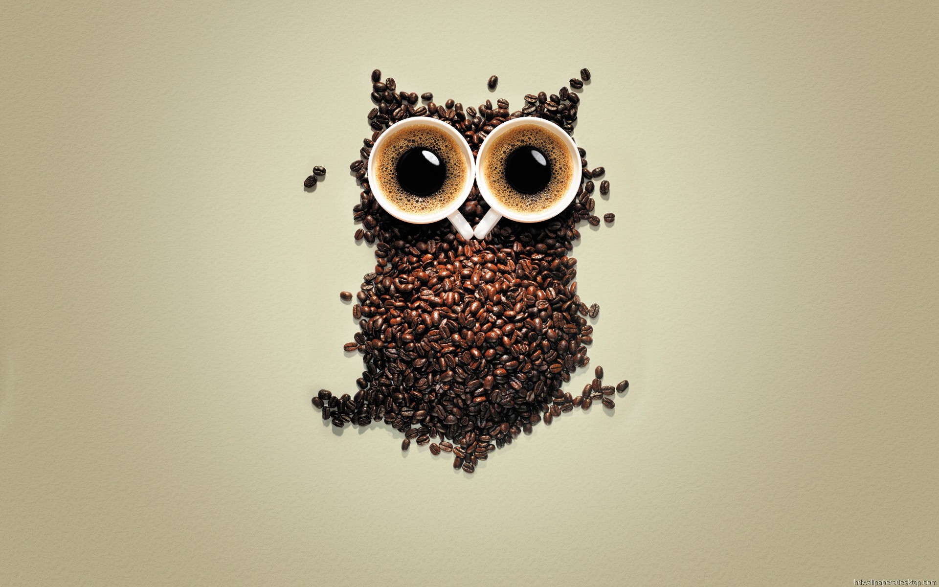 Gufo, Chicchi di caffè, Tazzine, Arte creativa, Full HD, sfondo Windows 11