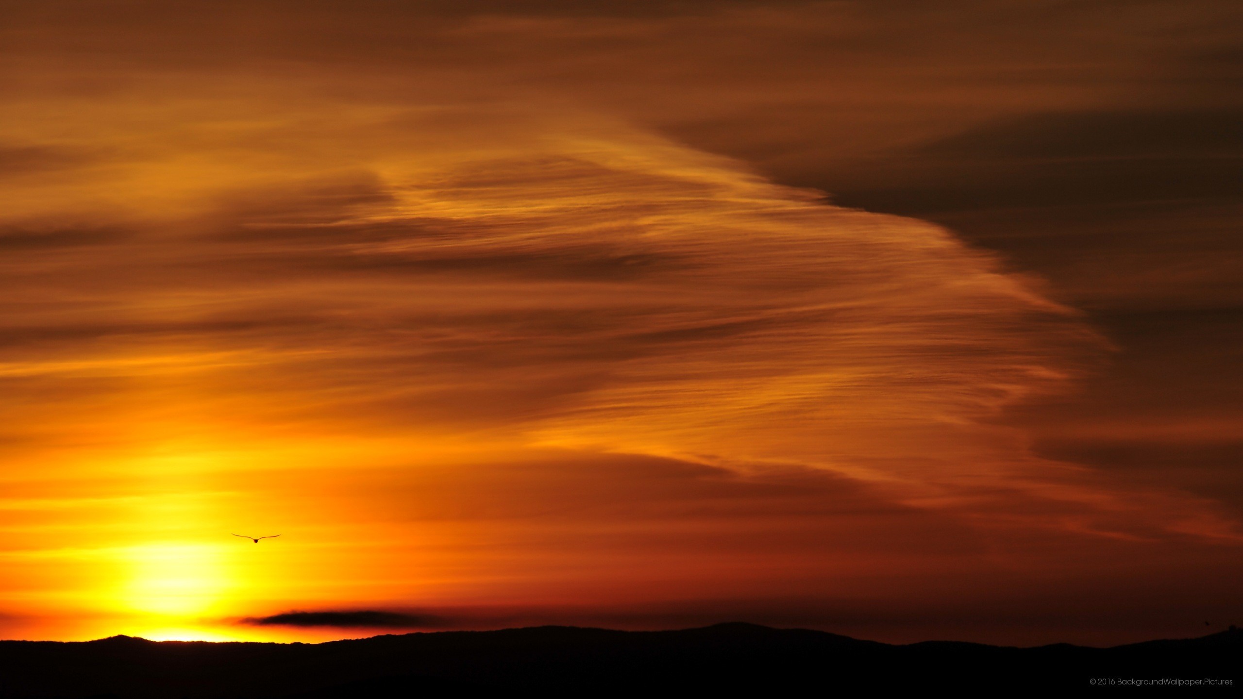 Tramonto, Nuvole, Arancione, Cielo, wallpaper per cellulare