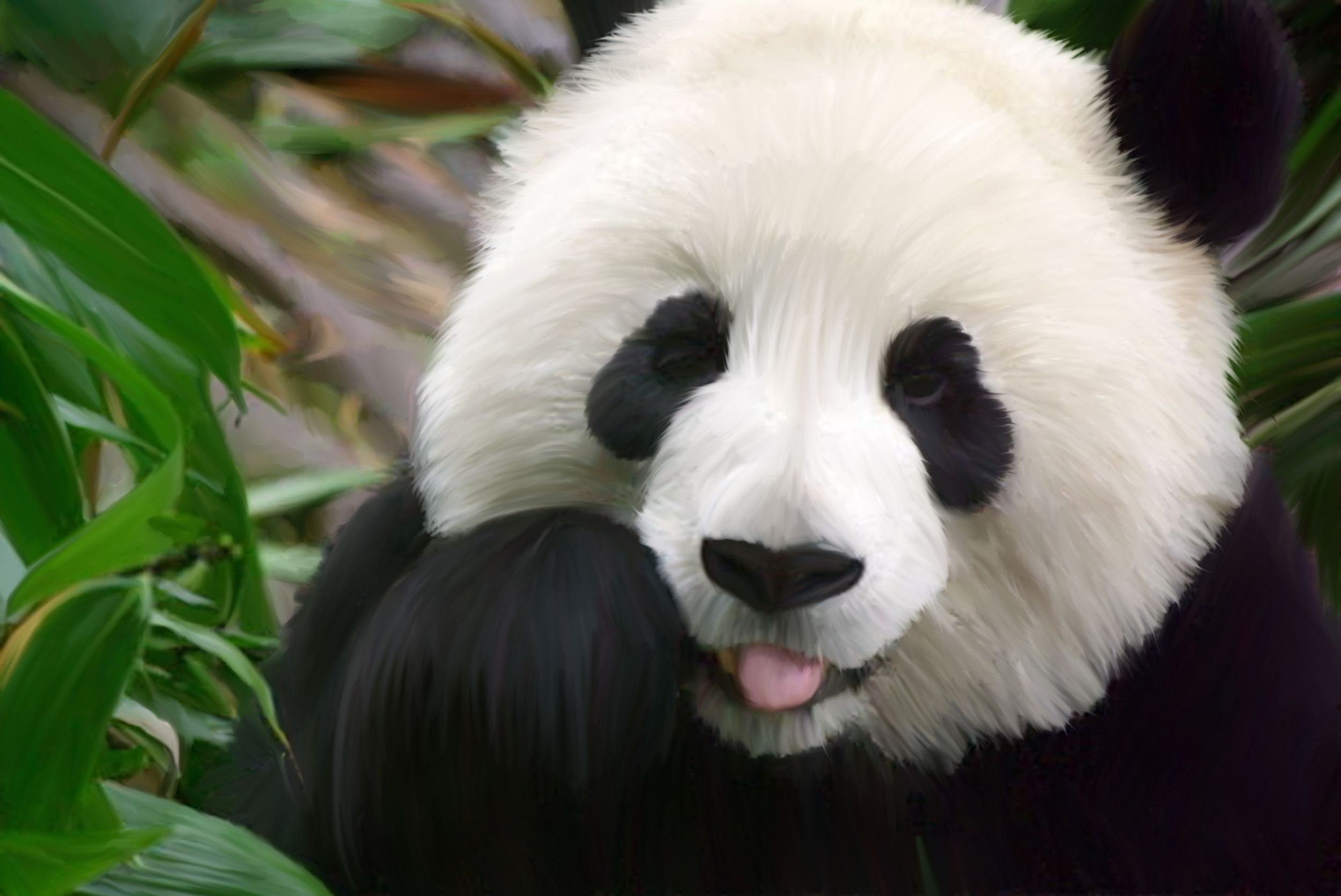 Panda gigante, Primo piano, Lingua, Full HD, sfondo desktop