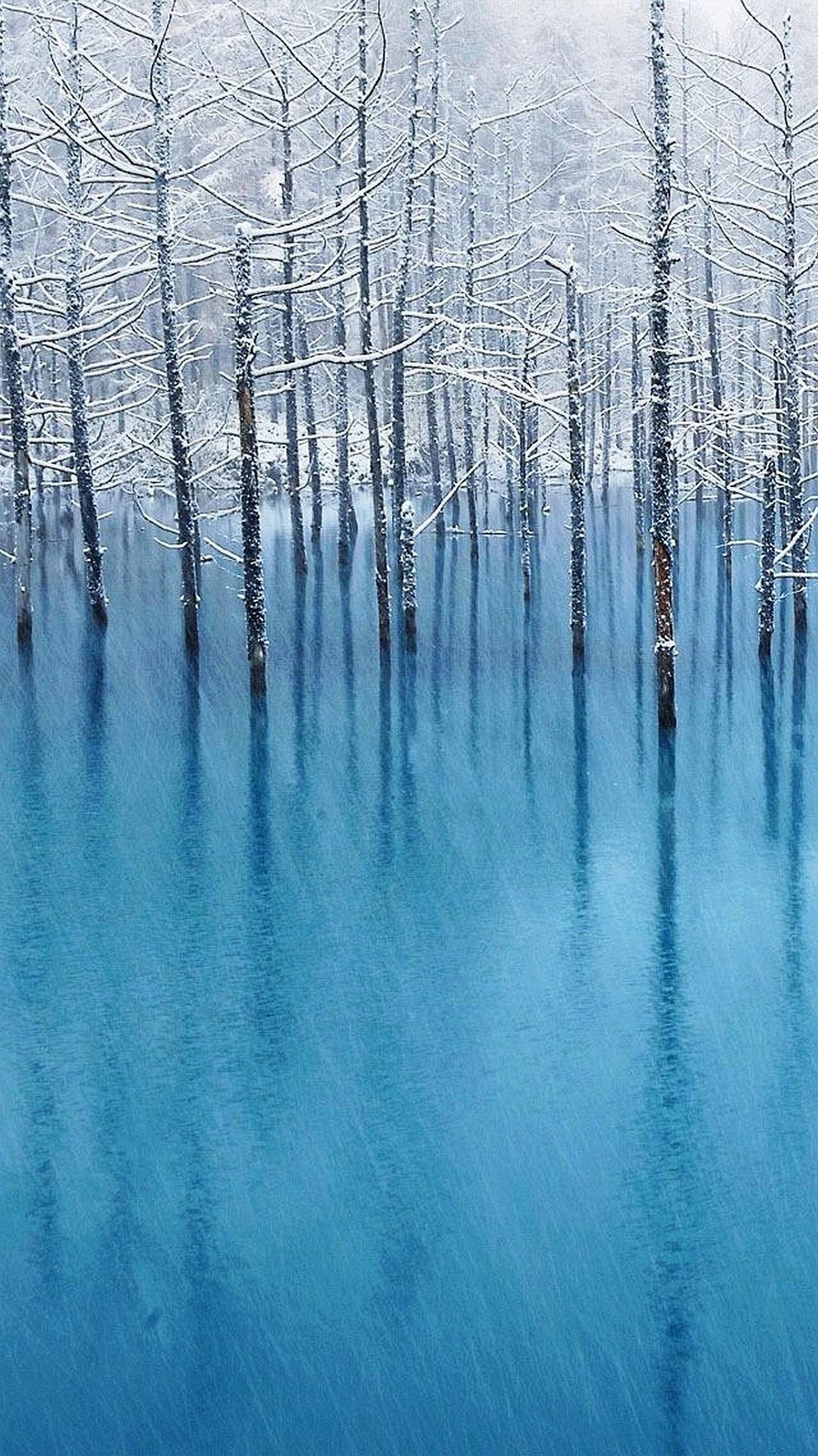 Stagno Blu, Biei, Hokkaido, Alberi, Neve, sfondo Samsung Galaxy S6 QHD+