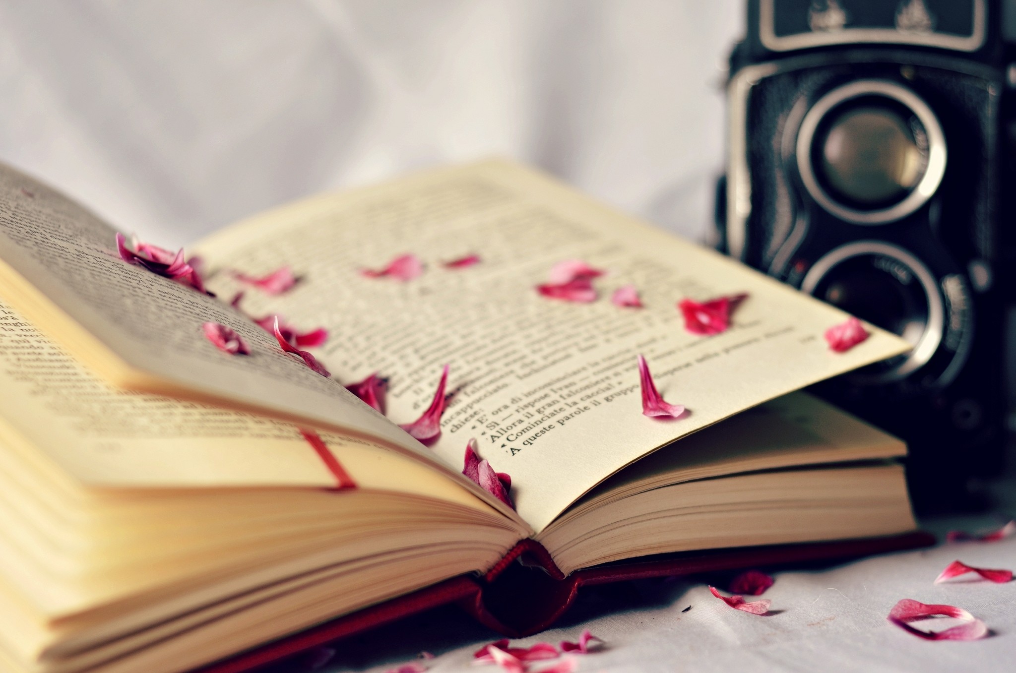 Libro aperto, Petali di rosa, Macchina fotografica vintage, Full HD, wallpaper desktop
