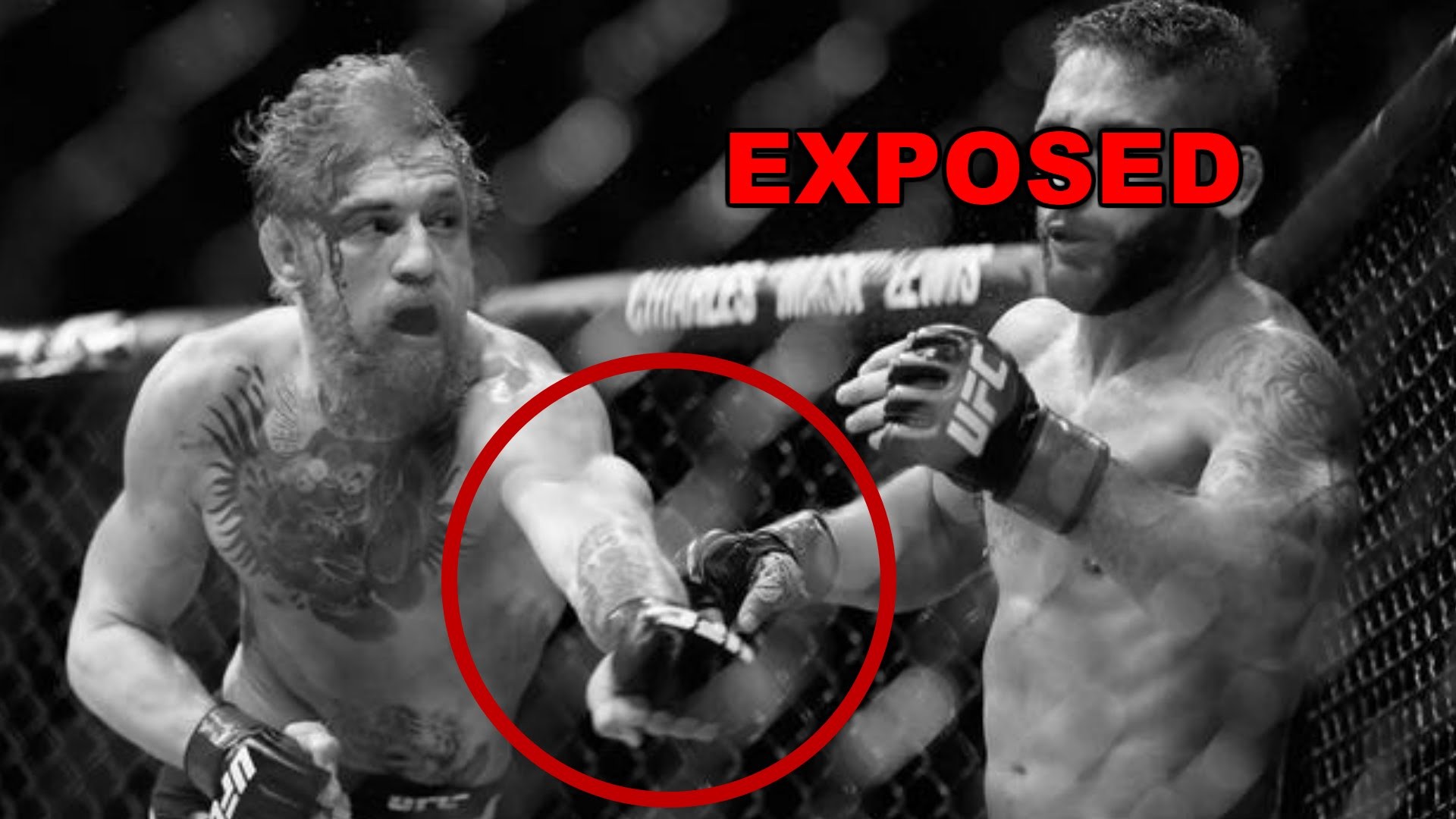 Conor McGregor, Nate Diaz, UFC, Bianco e nero, Combattimento, 16:9 Full HD, sfondo widescreen