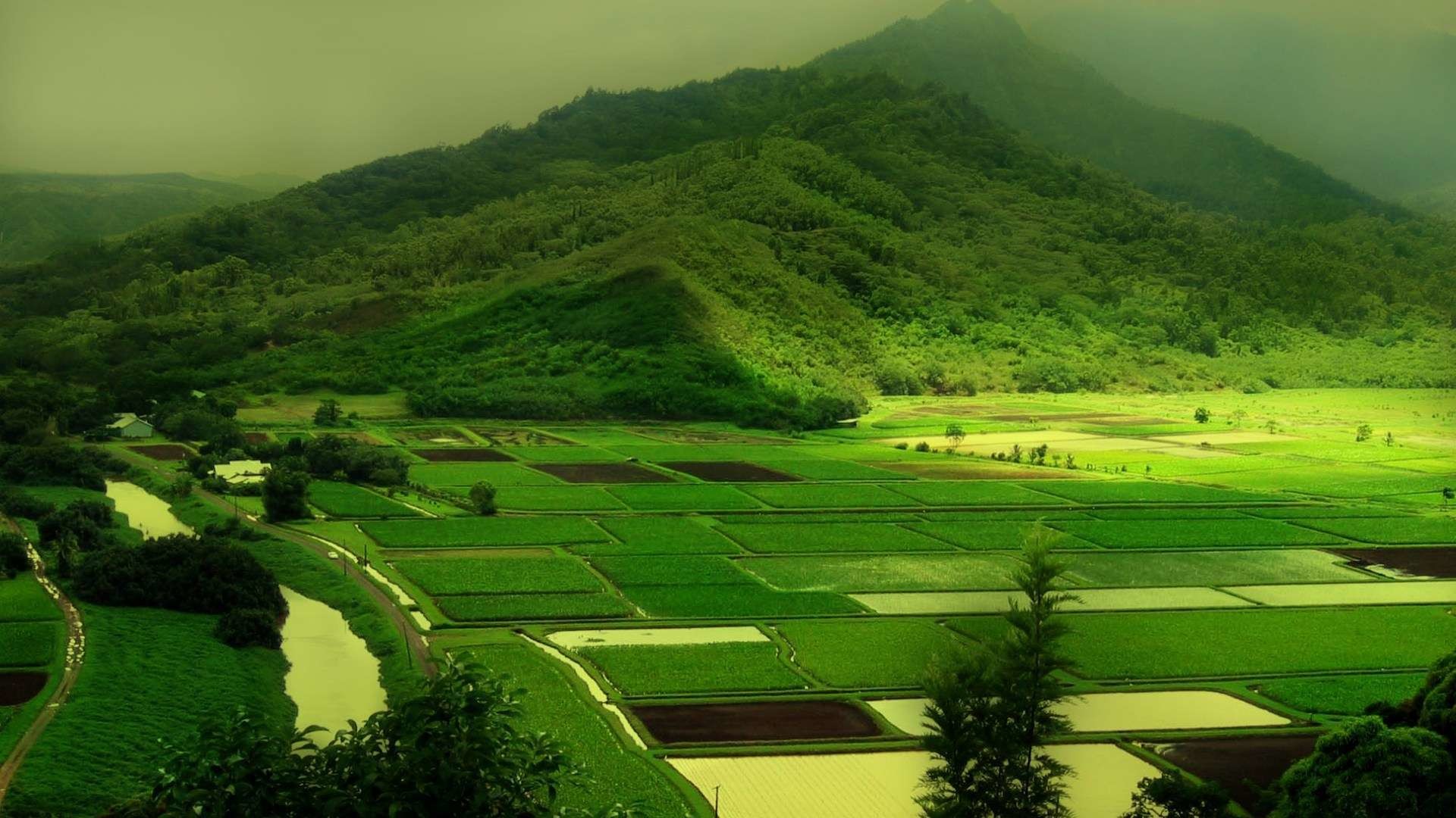 Windows 10 Latest Wallpapers, 16:9 Full HD, sfondo widescreen