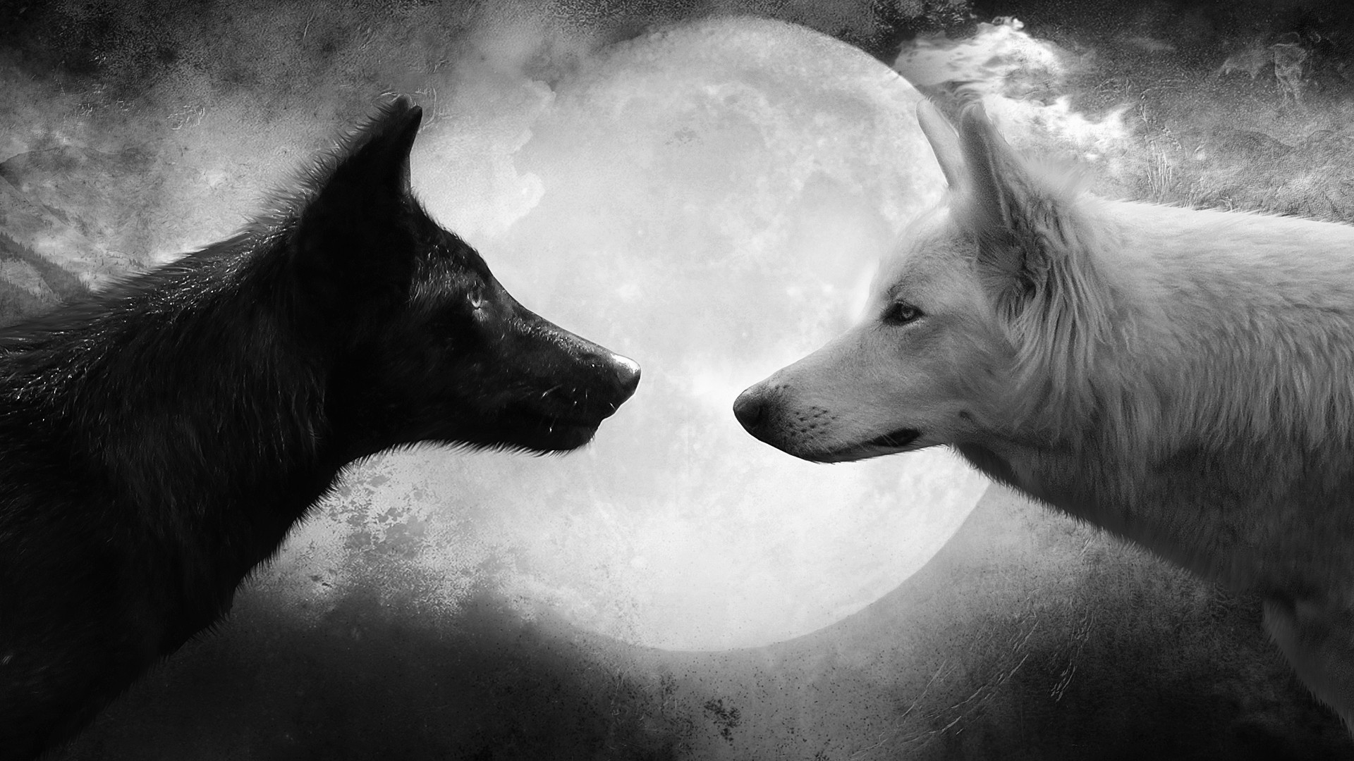 Lupo nero, Lupo bianco, Luna piena, Yin e yang, Bianco e nero, Full HD, sfondo per portatile