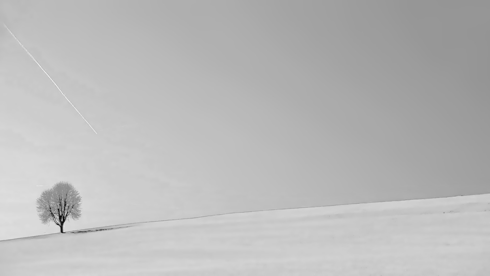 Minimalismo, Albero solitario, Neve, Bianco e nero, Full HD, sfondo per PC