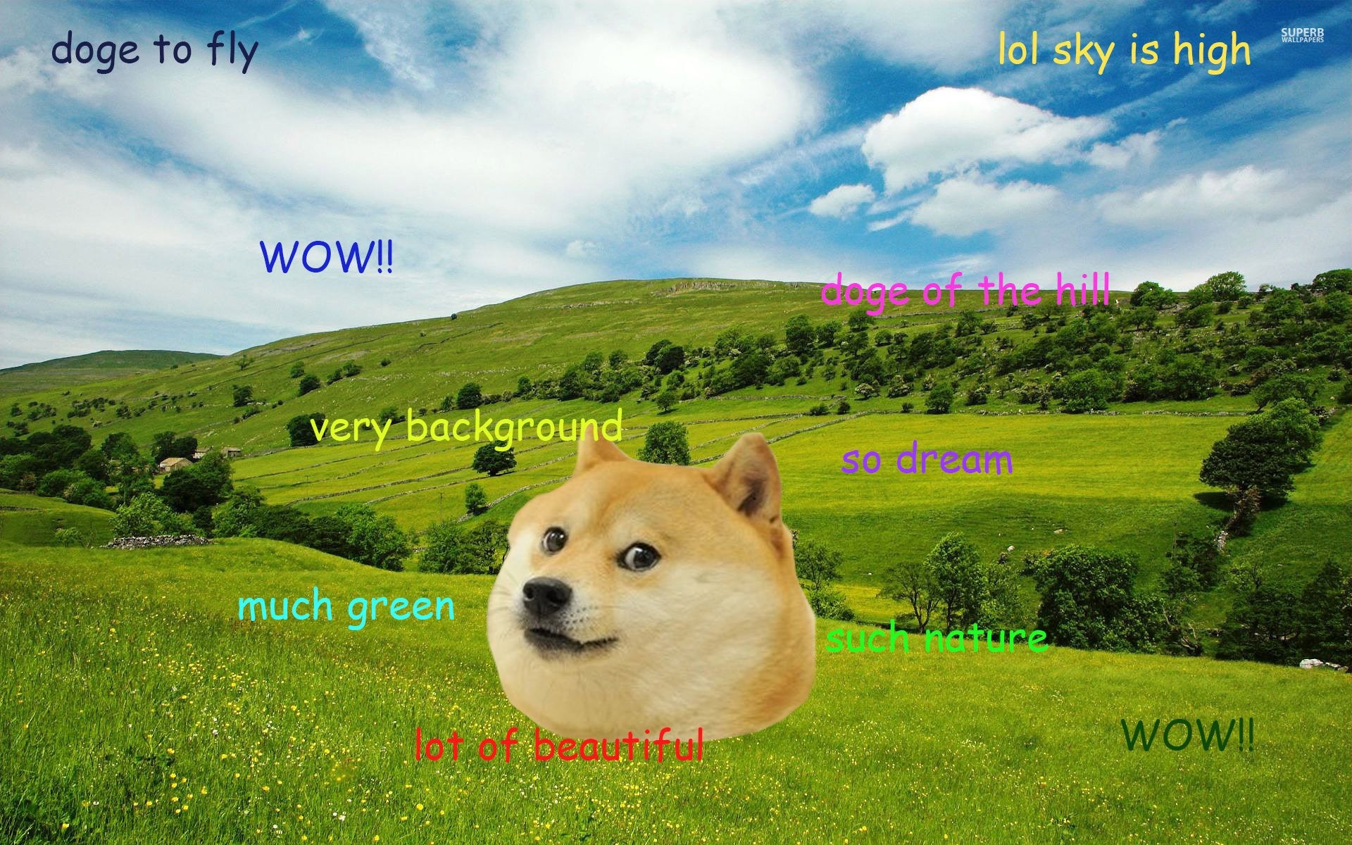 Doge, Colline verdi, Meme, Cielo, 1920x1200, sfondo per PC