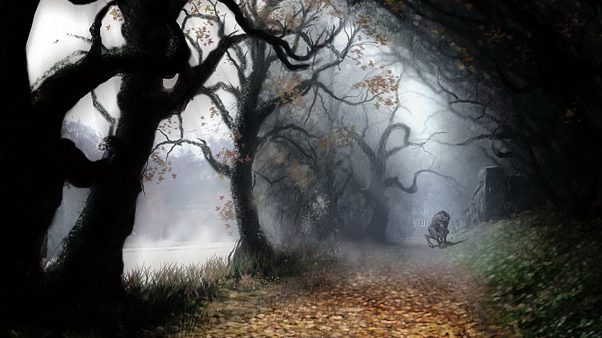 Lupo mannaro, Foresta, Sentiero, Nebbia, Autunno, 1920x1080, wallpaper desktop
