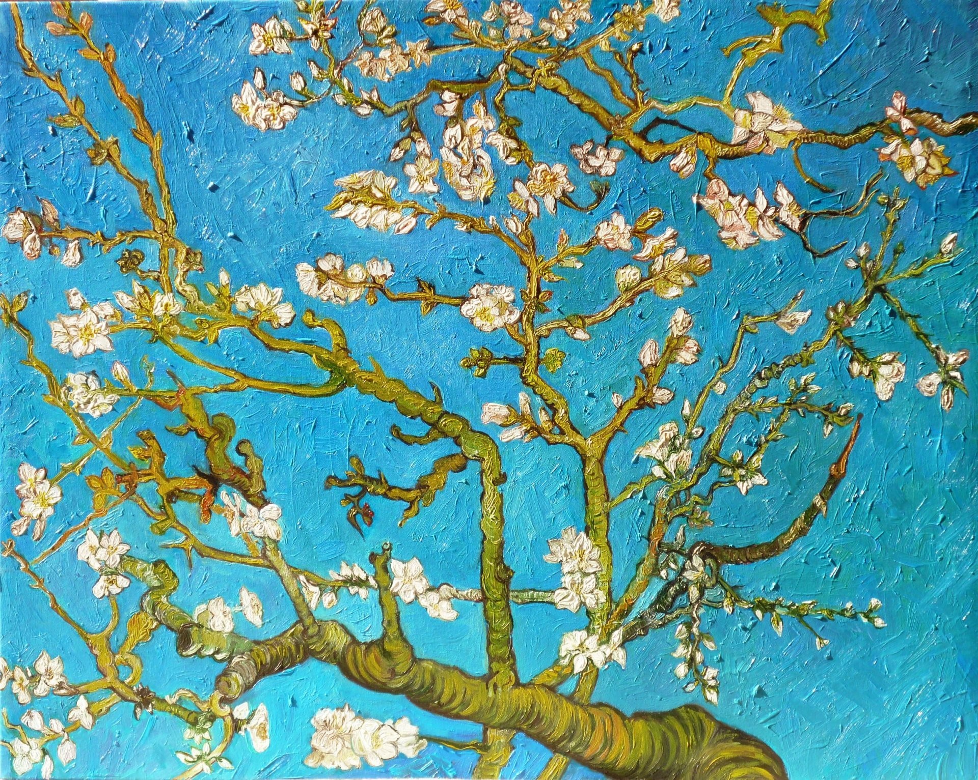 Mandorlo in fiore, Vincent van Gogh, Fiori bianchi, Cielo turchese, Rami, wallpaper Windows 11
