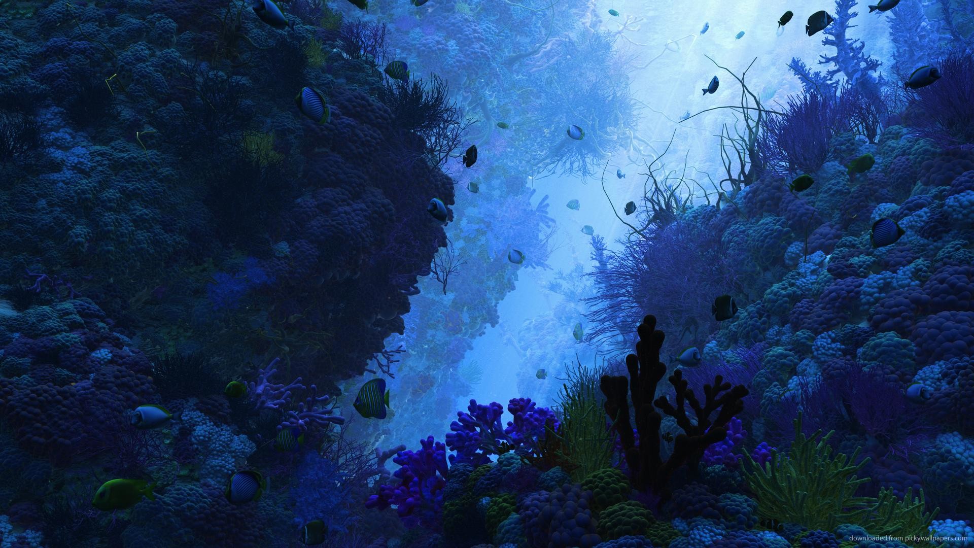 Barriera corallina, Pesci, Blu scuro, Grotta, Full HD, wallpaper per PC