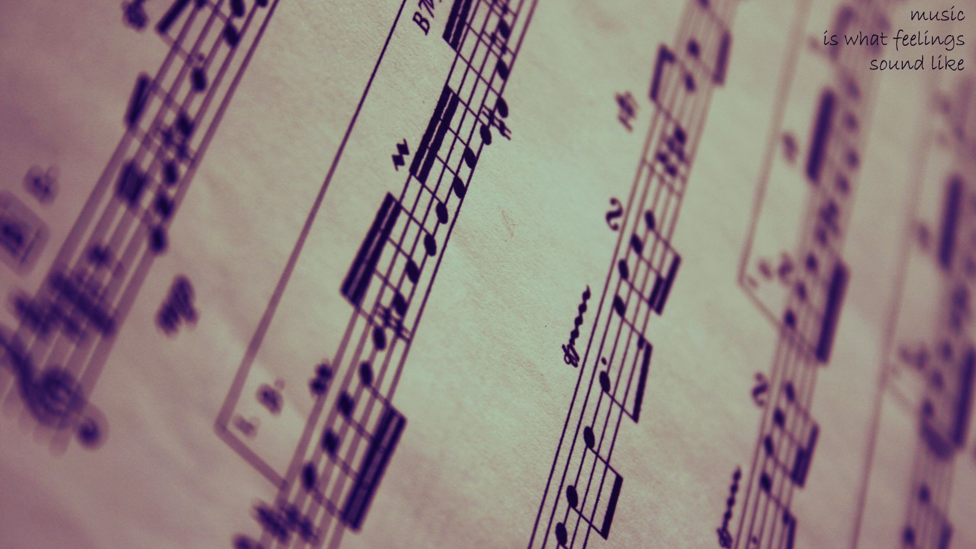 Spartito, Viola, Primo piano, 1920x1080, sfondo per PC
