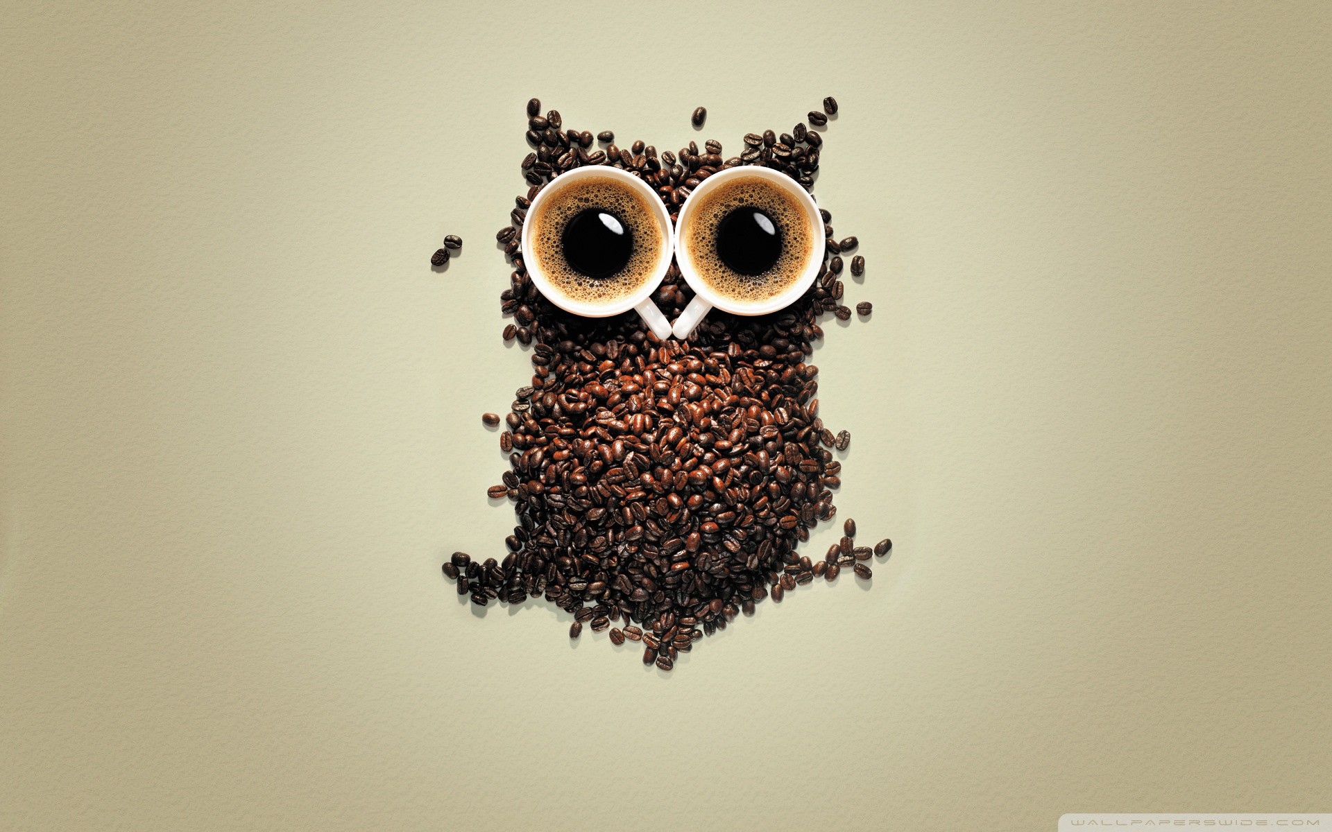 Gufo, Chicchi di caffè, Tazzine di caffè, Arte creativa, 16:10 Full HD, sfondo widescreen