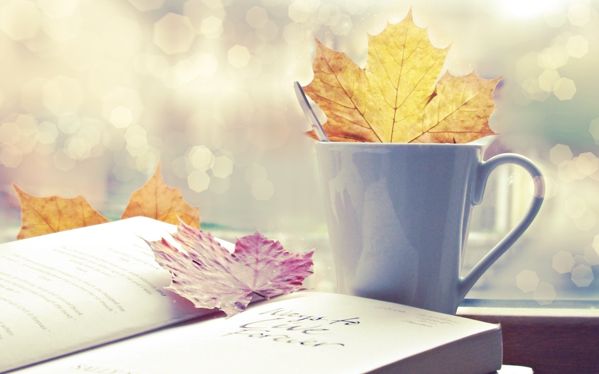 Libro, Foglie d'autunno, Tazza, Bokeh, 16:10 Full HD, wallpaper widescreen