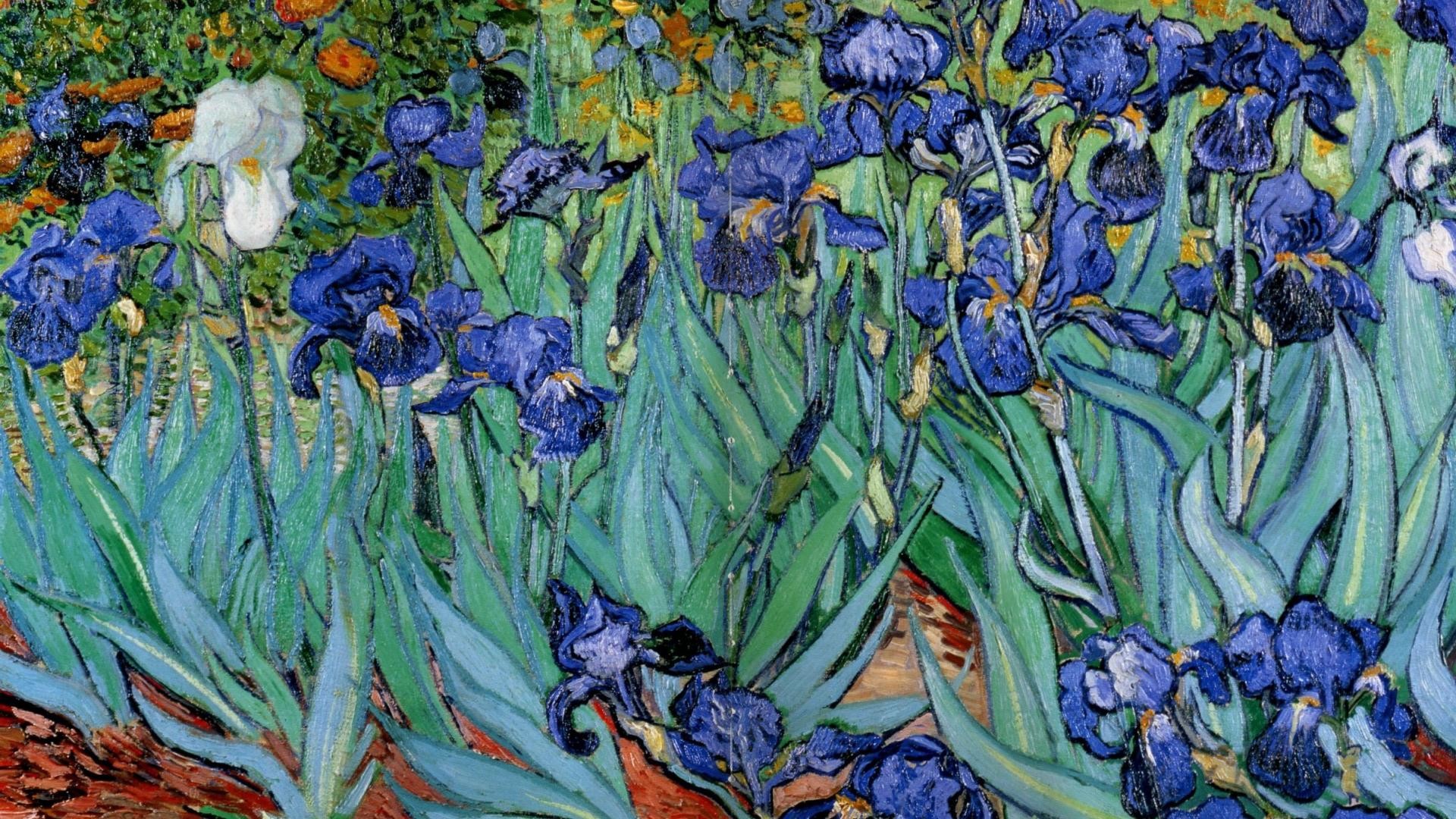 Iris, Vincent van Gogh, Fiori viola, Giardino, Pittura a olio, 16:9 Full HD, sfondo widescreen