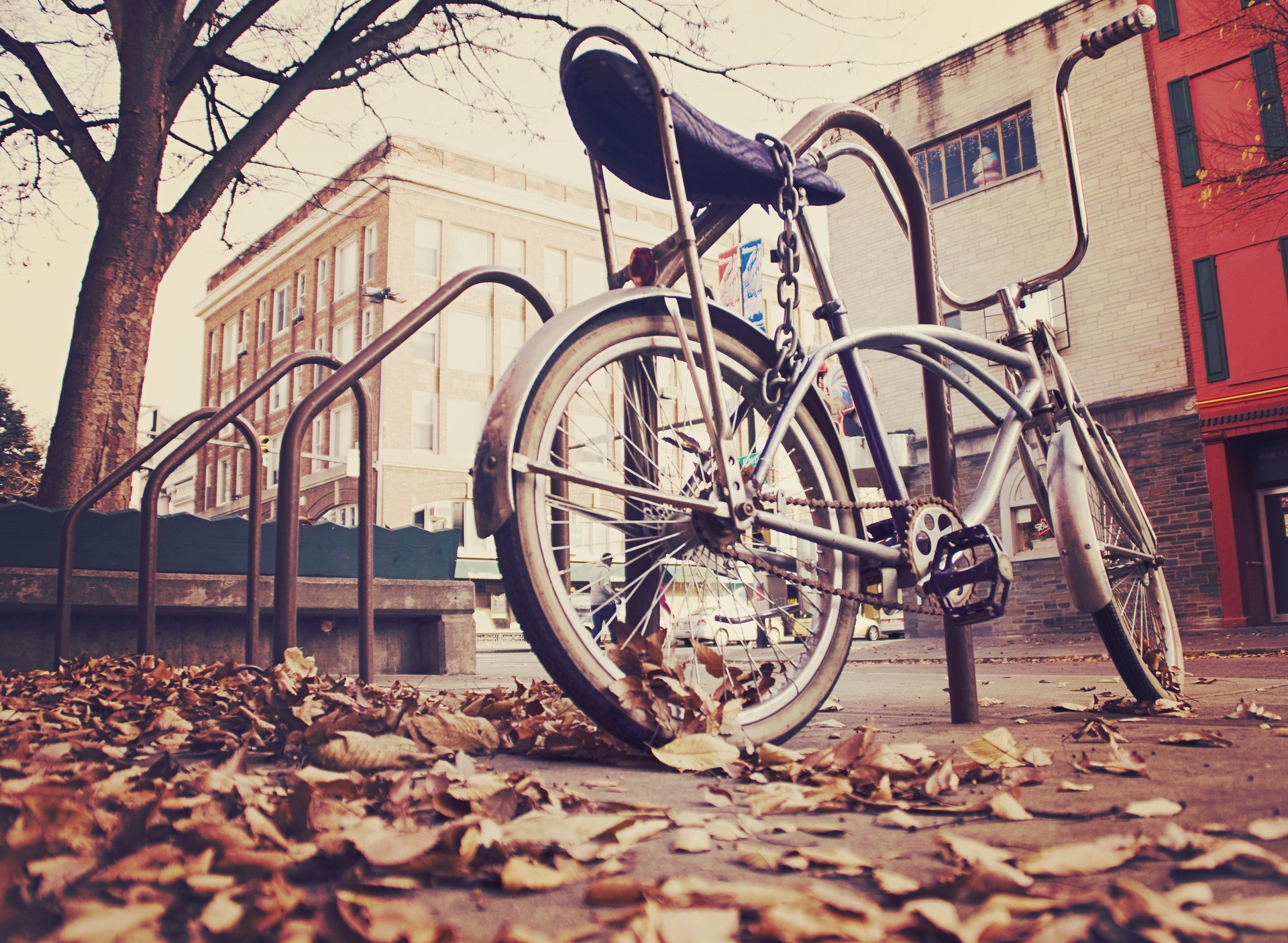 Bicicletta cruiser, Foglie secche, Autunno, Strada, Full HD, sfondo per PC e portatile