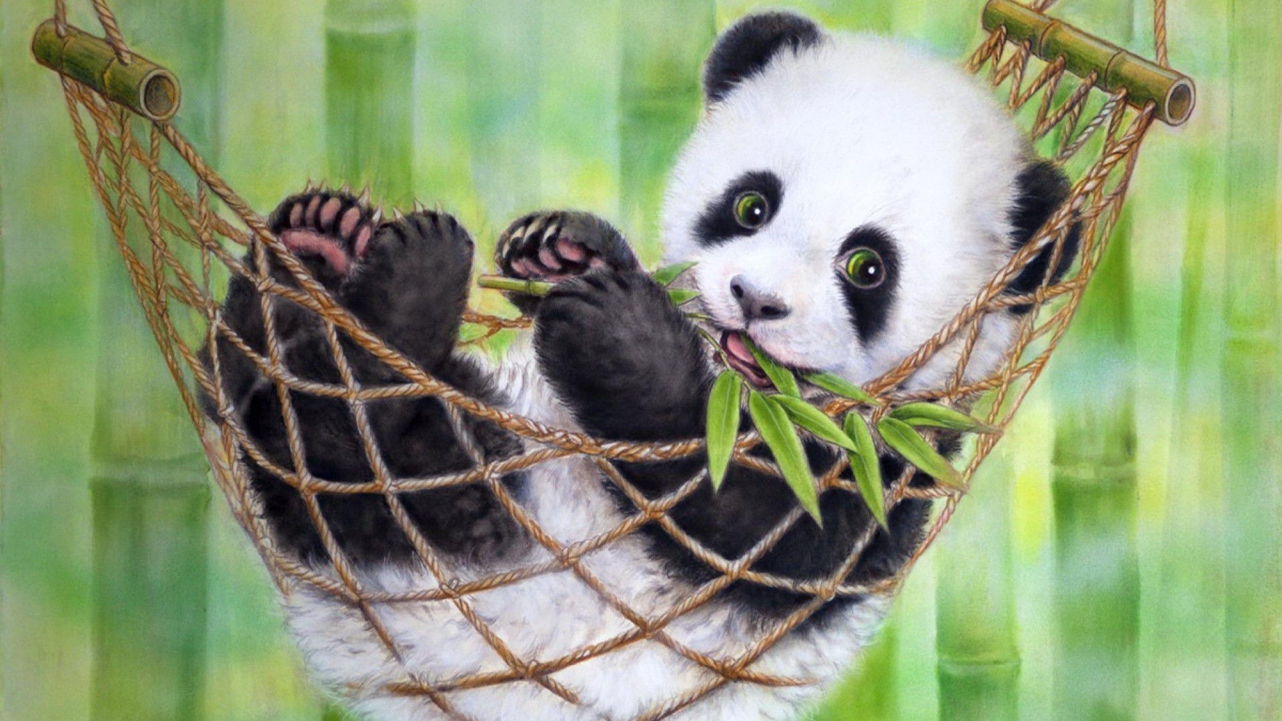 Cucciolo di panda, Amaca, Bambù, Tenero, 2K, sfondo per PC
