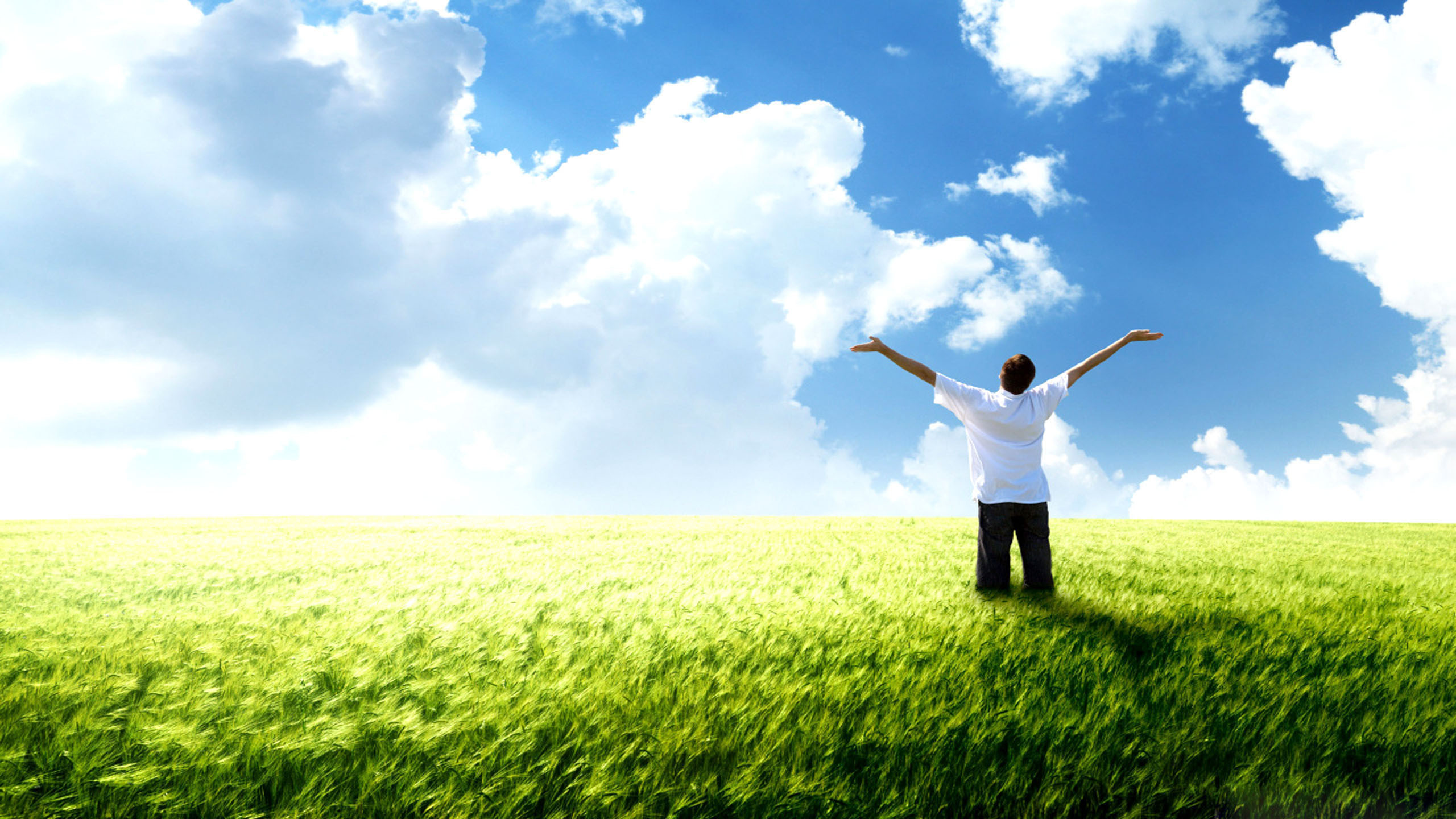 Uomo, Braccia aperte, Prato verde, Cielo azzurro, Nuvole, Libertà, sfondo desktop 2K