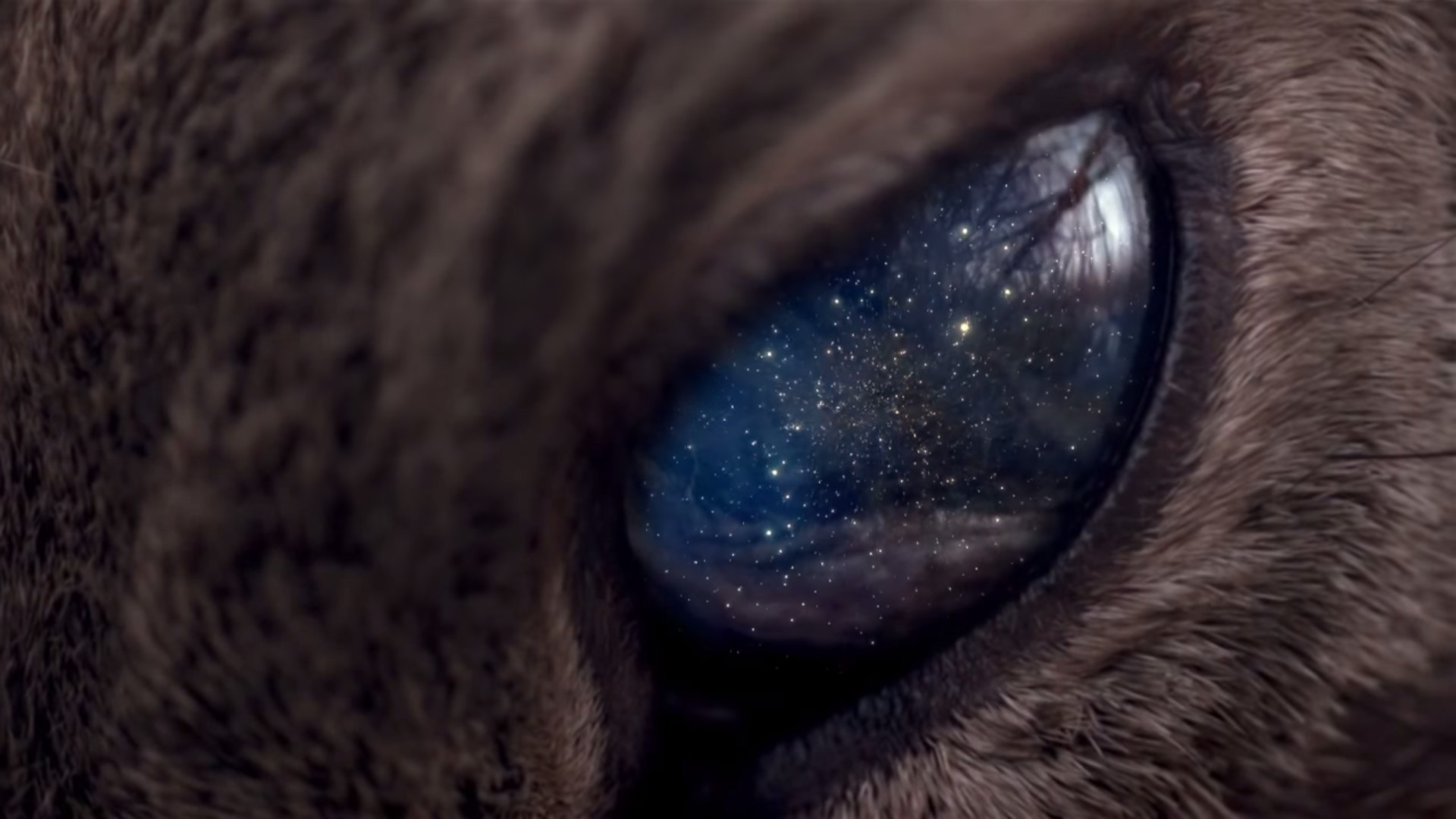 Occhio di gatto, Riflesso, Stelle, Surreale, 16:9 Full HD, sfondo widescreen