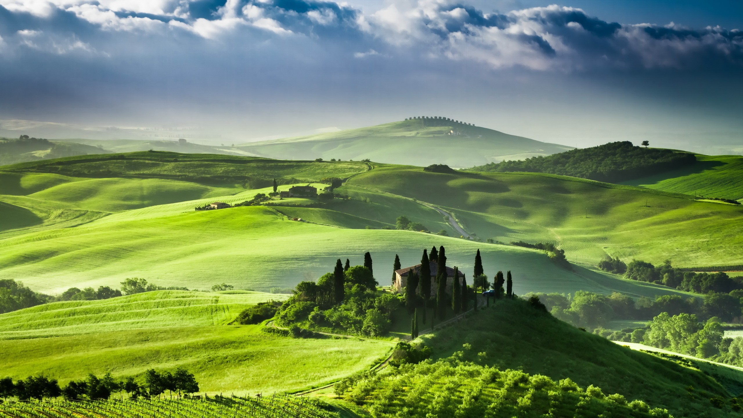 Val d'Orcia, Toscana, Colline, Verde, 2560x1440, sfondo per PC