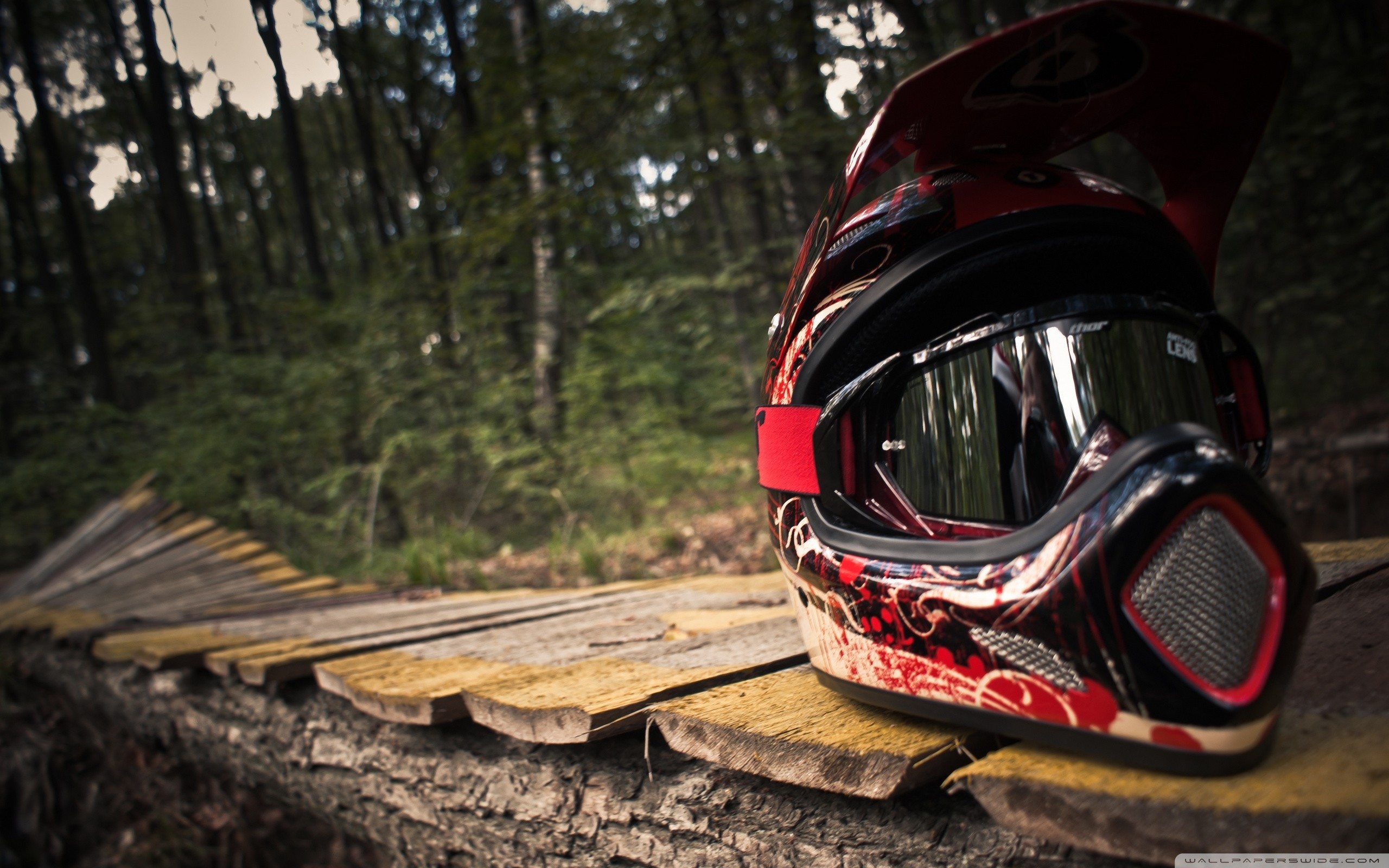 Casco integrale, Passerella in legno, Bosco, Mountain bike, 2K 1600p, sfondo desktop